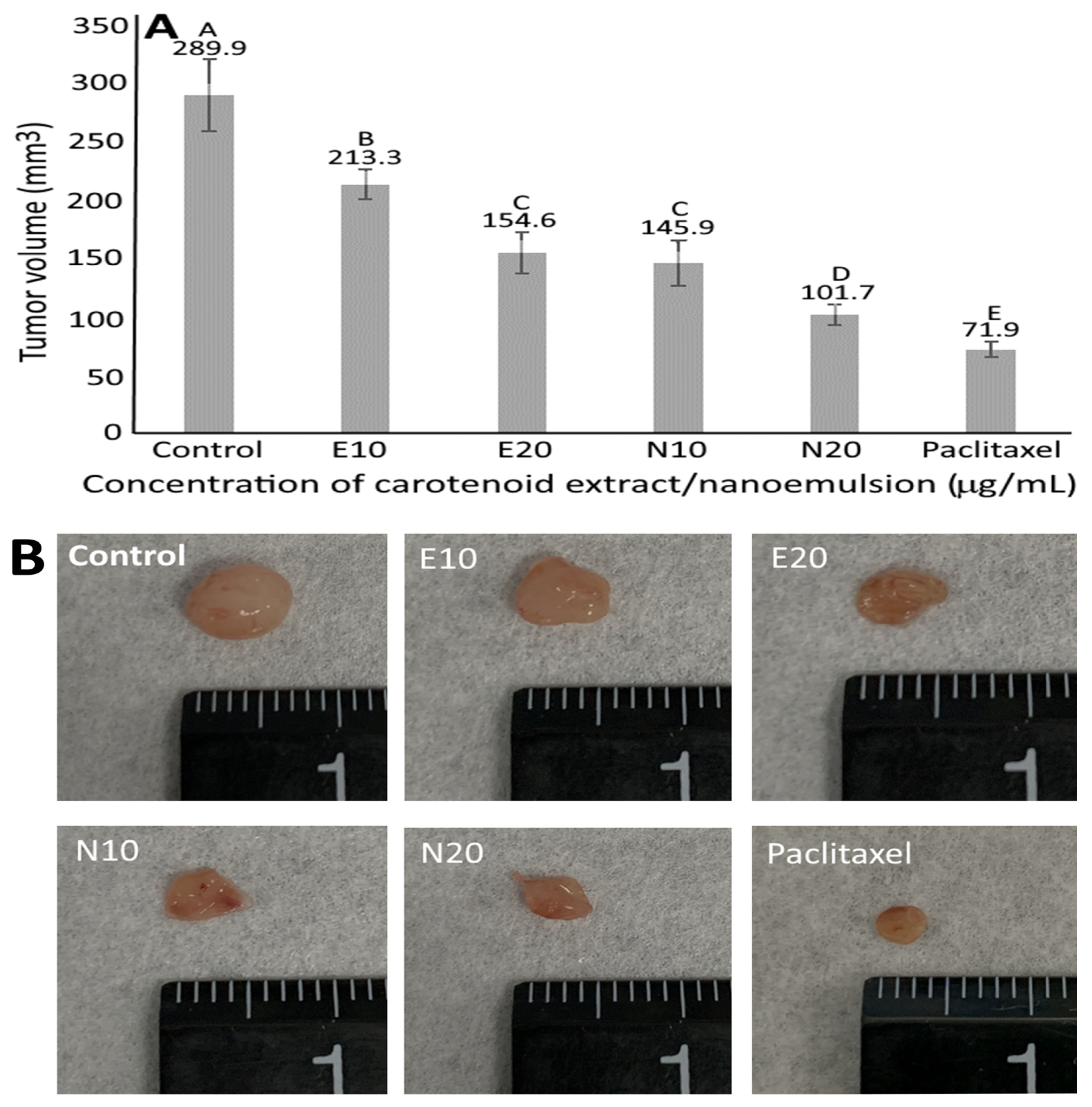 Pharmaceutics 14 00980 g008a Pharmaceutics 14 00980 g008a