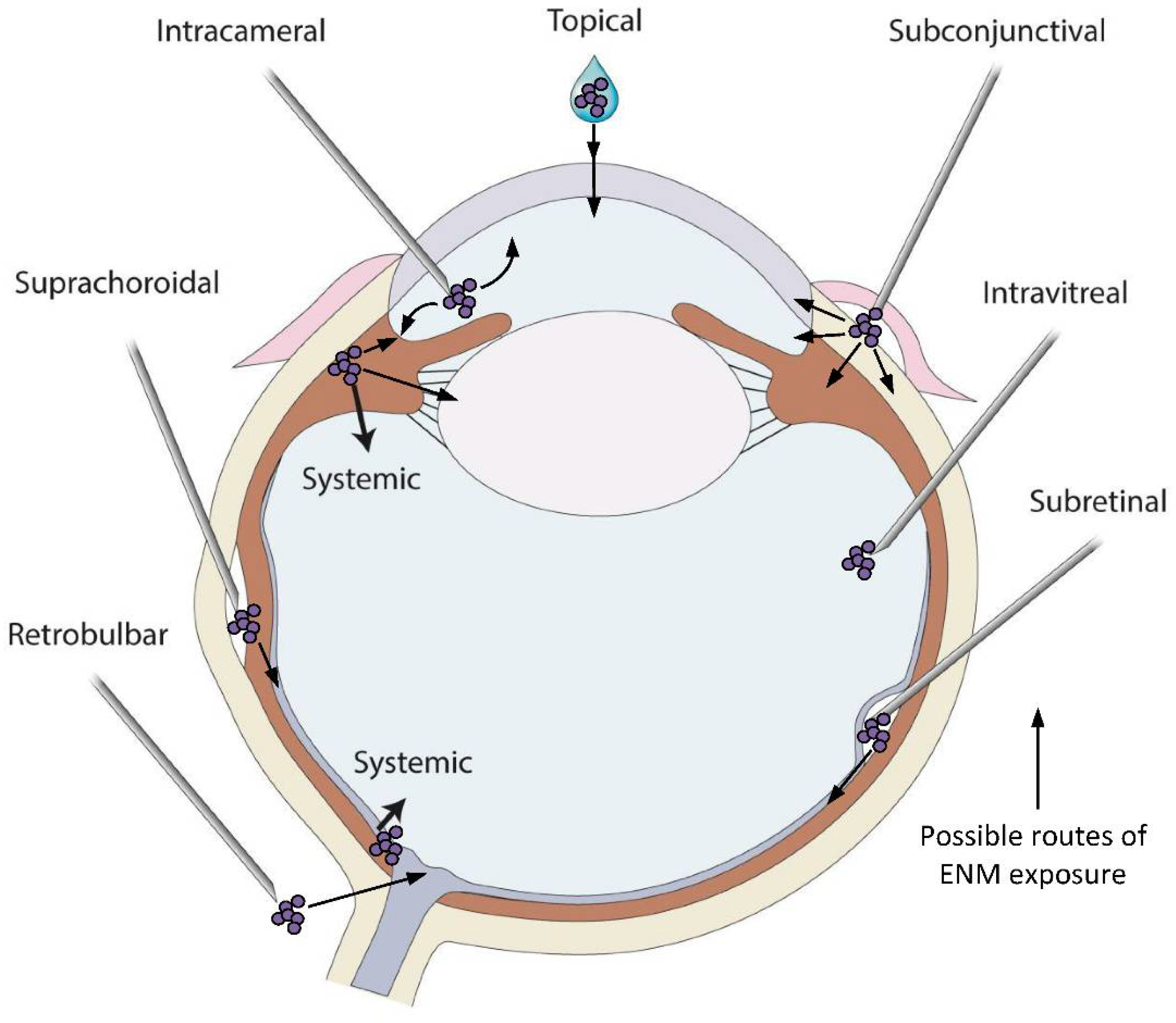 Pharmaceutics 14 00981 g002