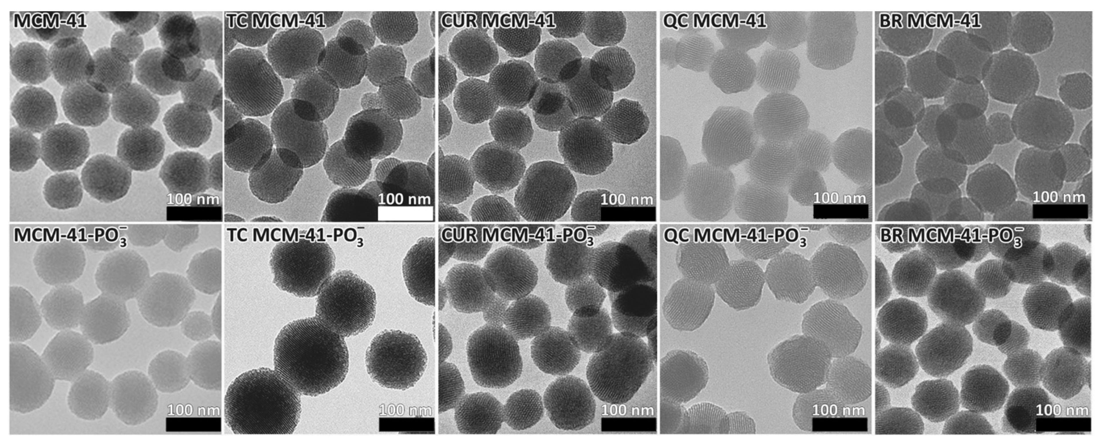 Pharmaceutics 14 00986 g002