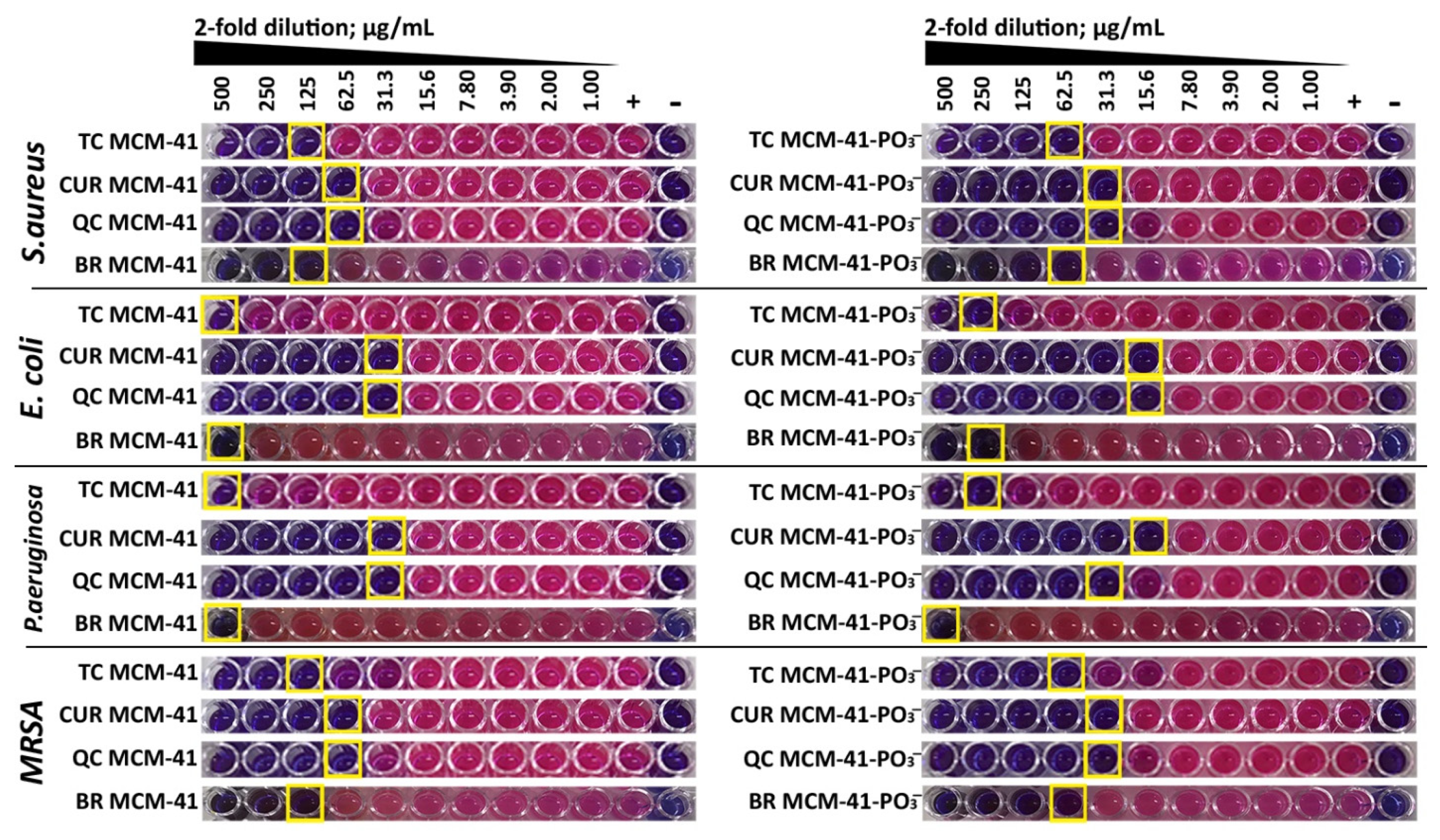 Pharmaceutics 14 00986 g005