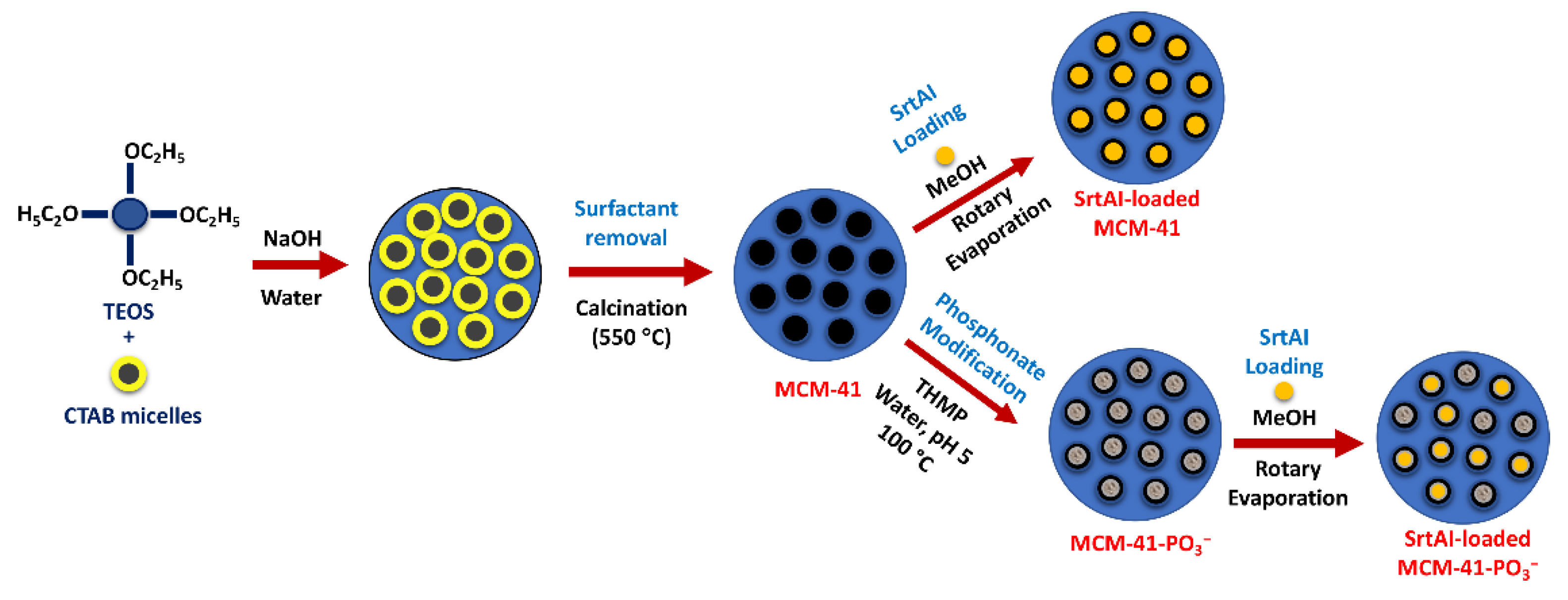 Pharmaceutics 14 00986 sch001