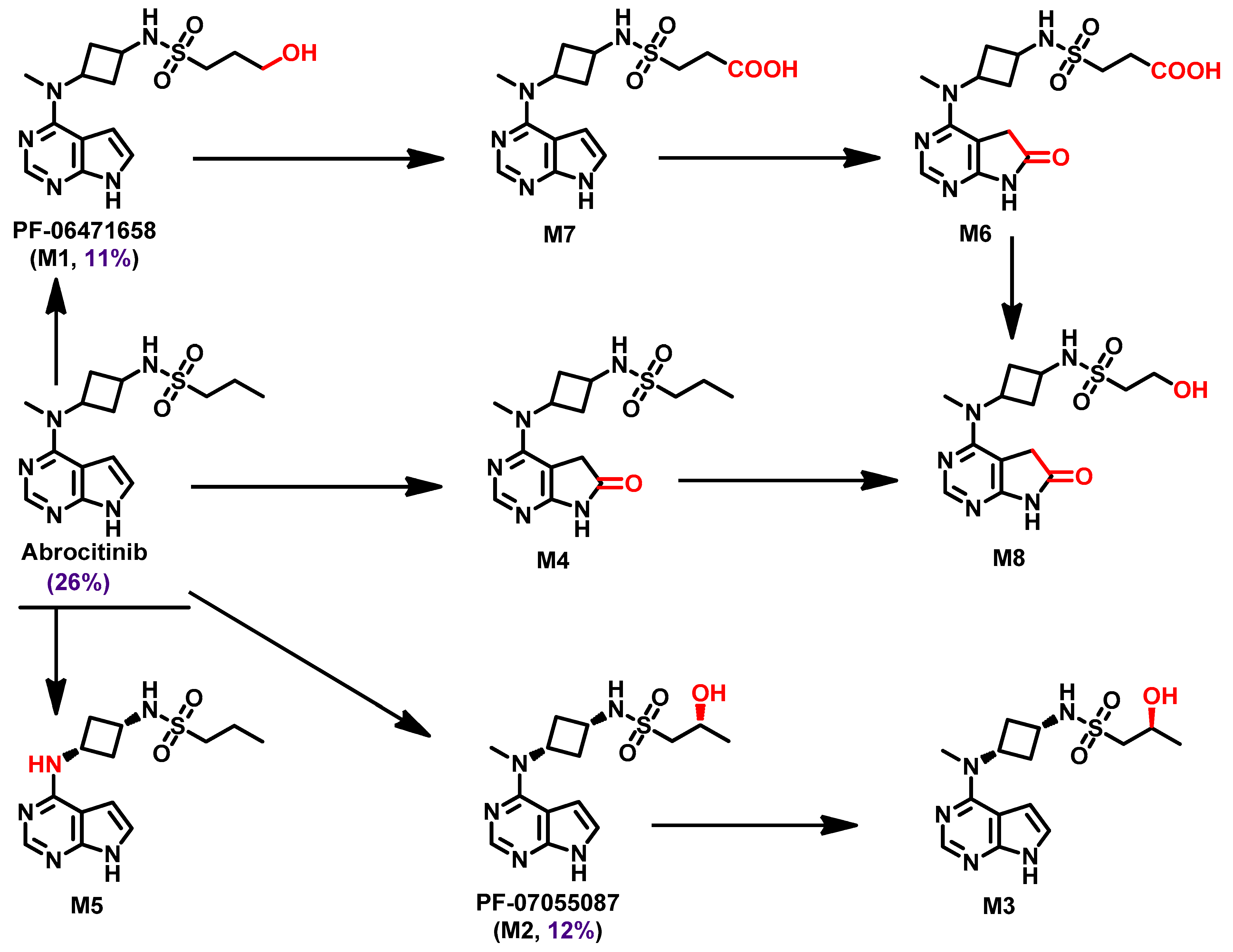 Pharmaceutics 14 01001 g015
