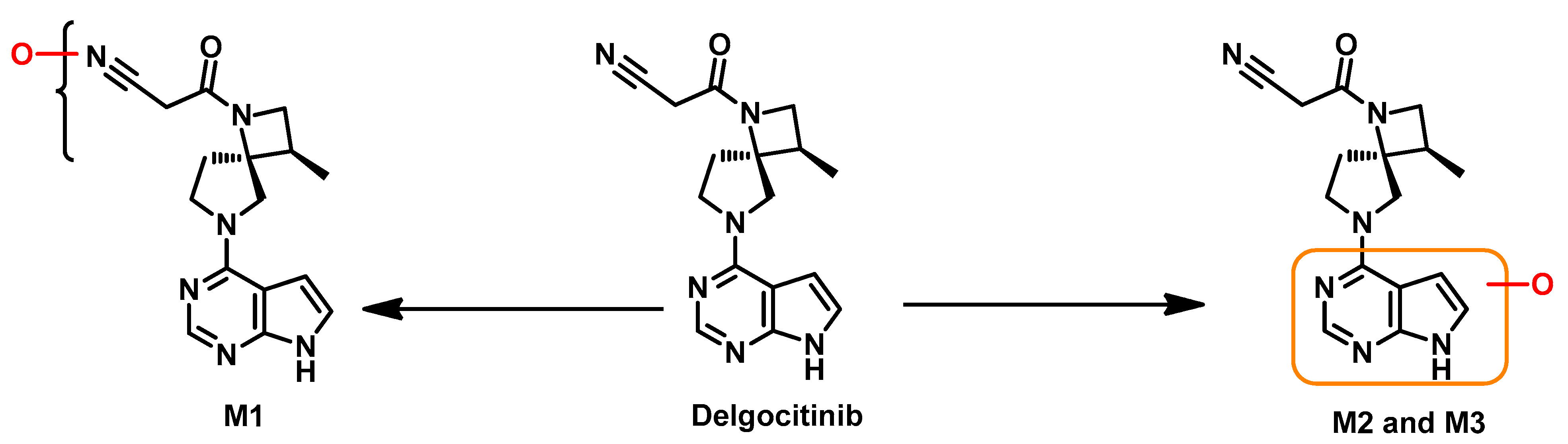Pharmaceutics 14 01001 g025