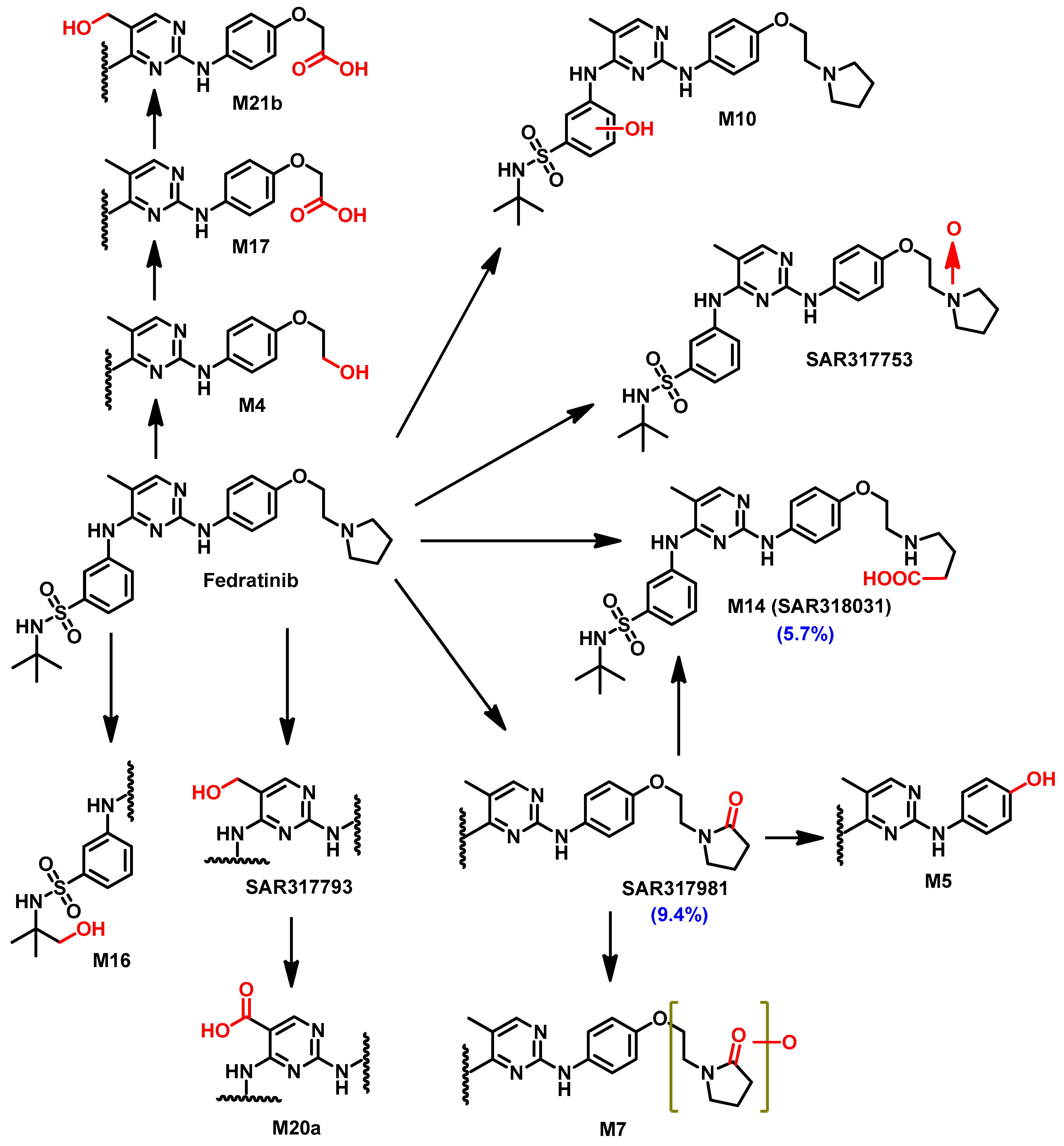 Pharmaceutics 14 01001 g031