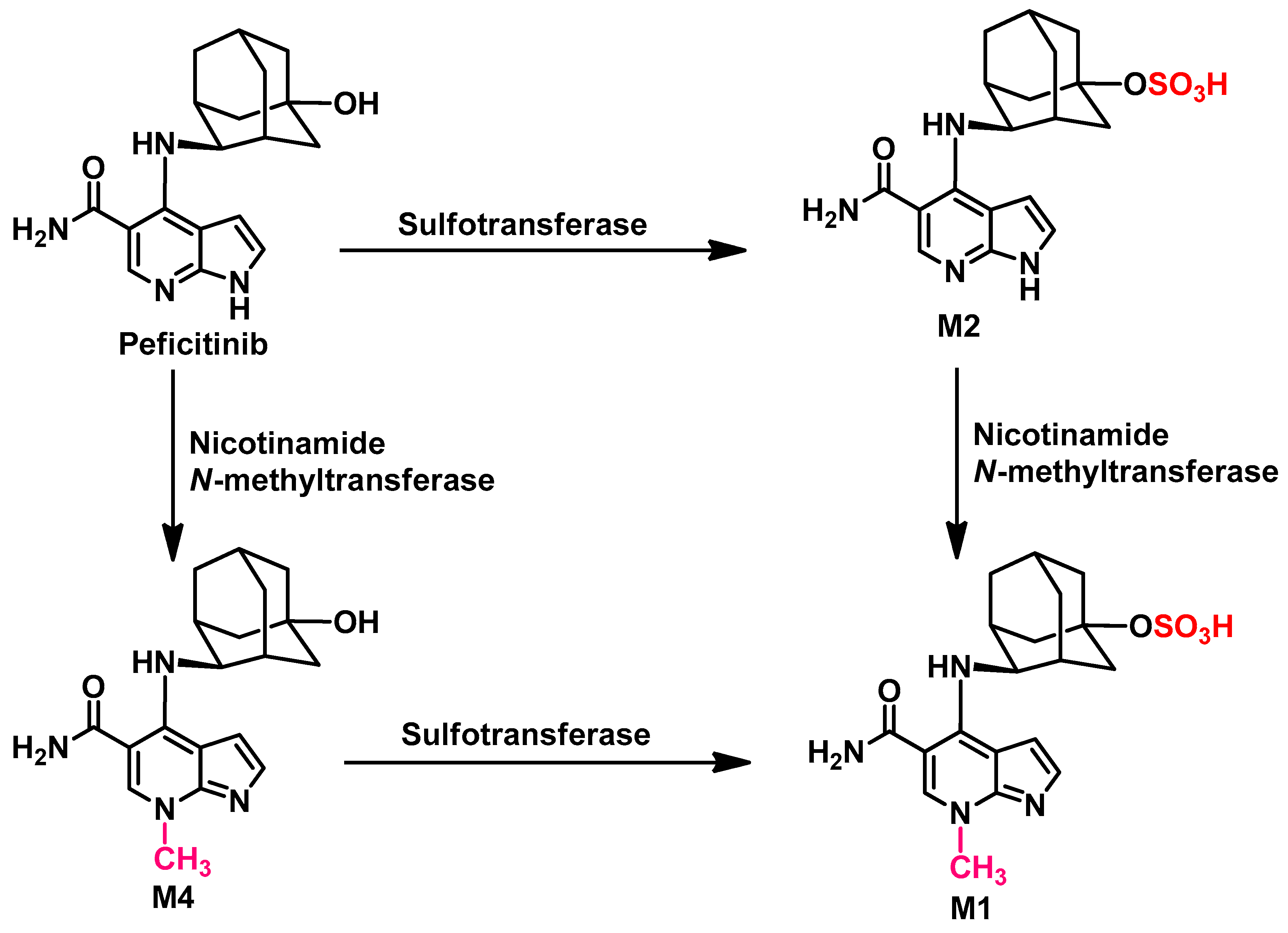 Pharmaceutics 14 01001 g049