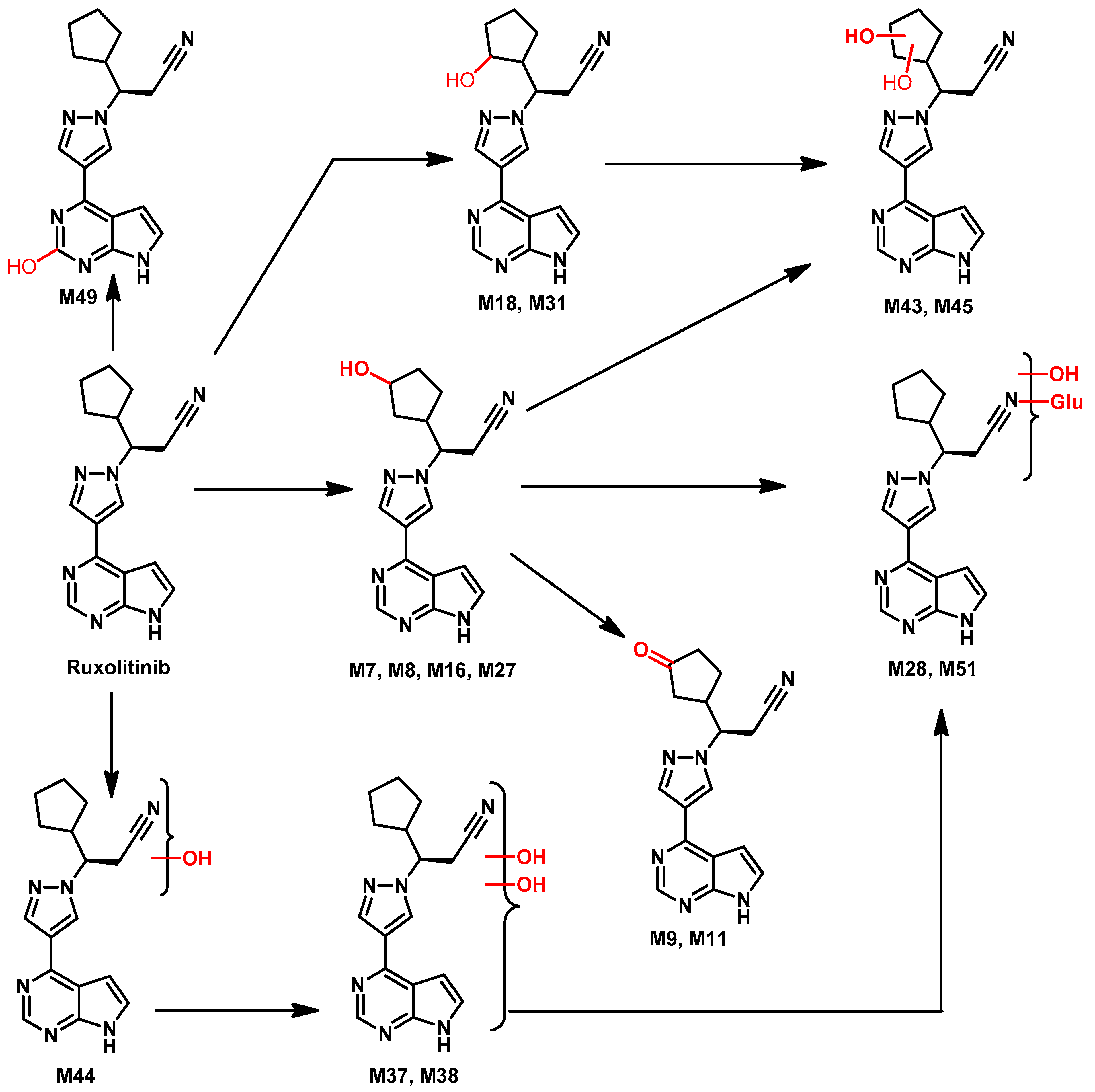 Pharmaceutics 14 01001 g057
