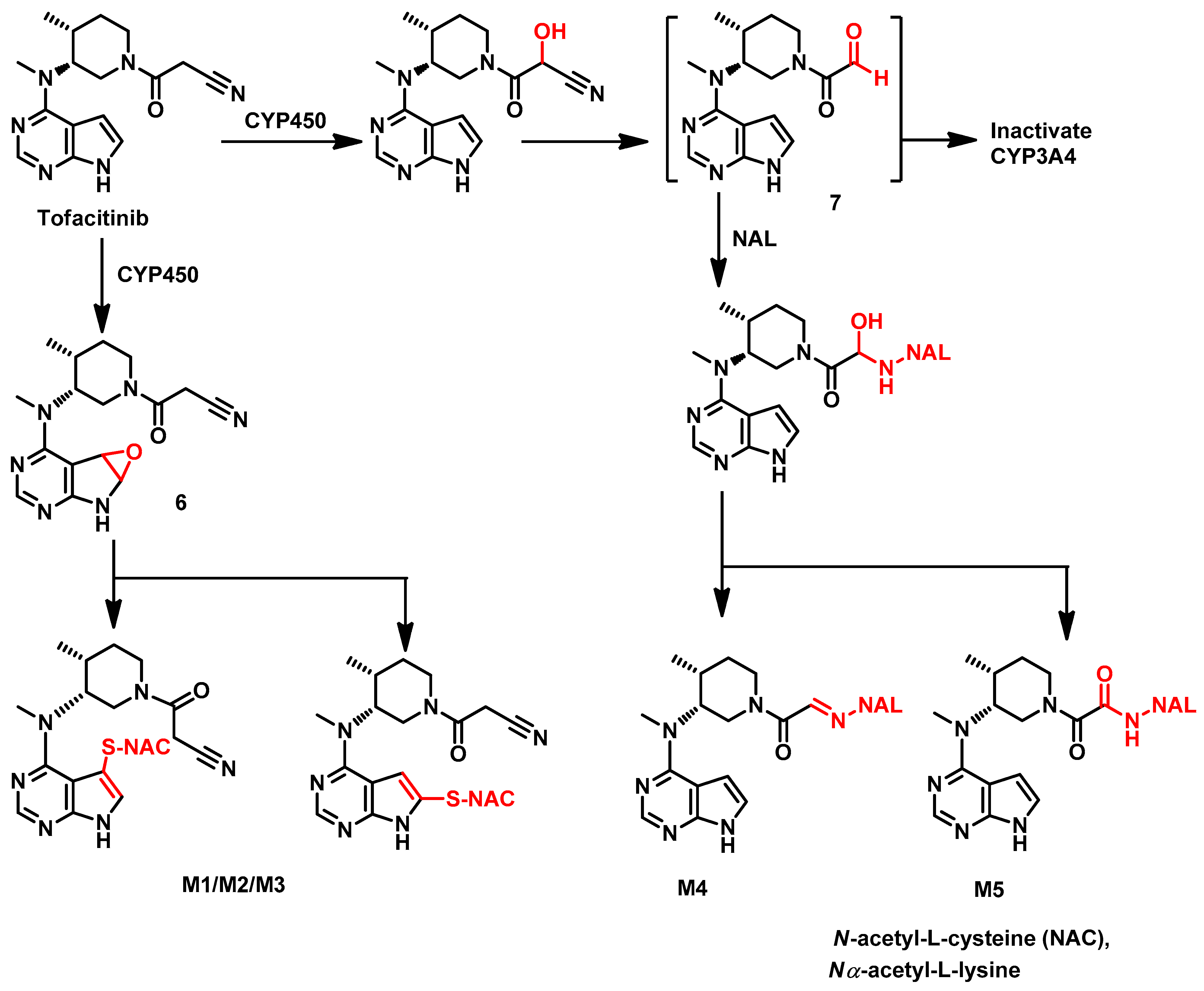 Pharmaceutics 14 01001 g065