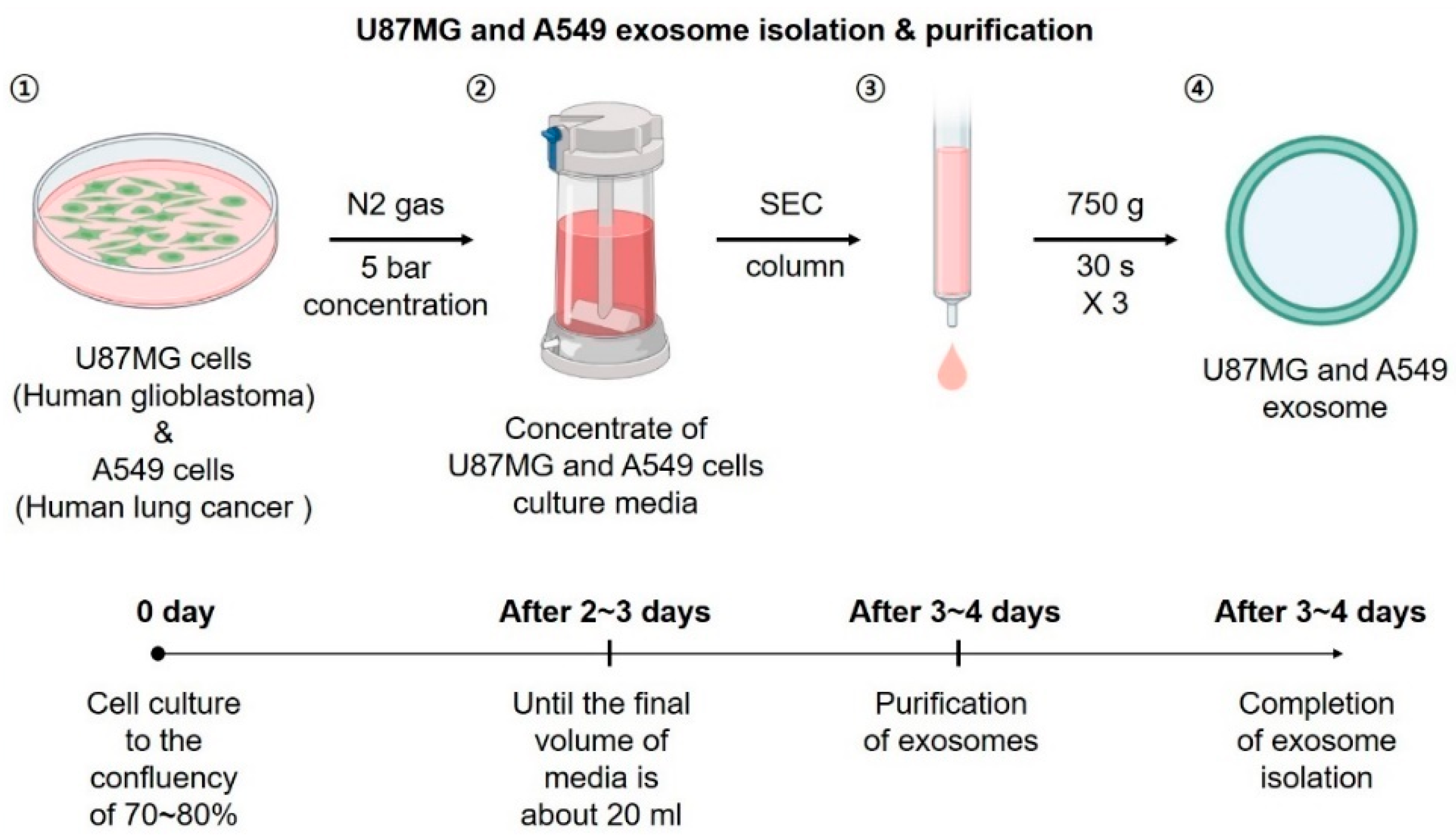 Pharmaceutics 14 01002 g002