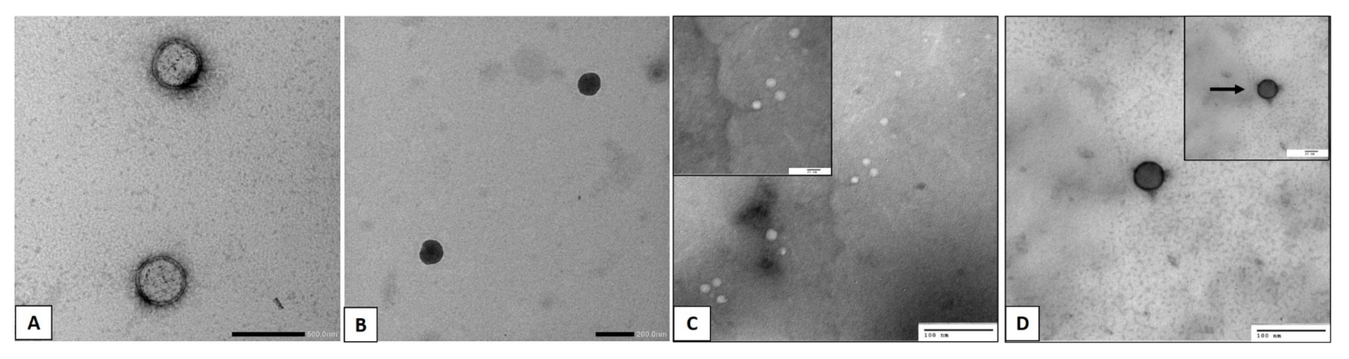 Pharmaceutics 14 01003 g002