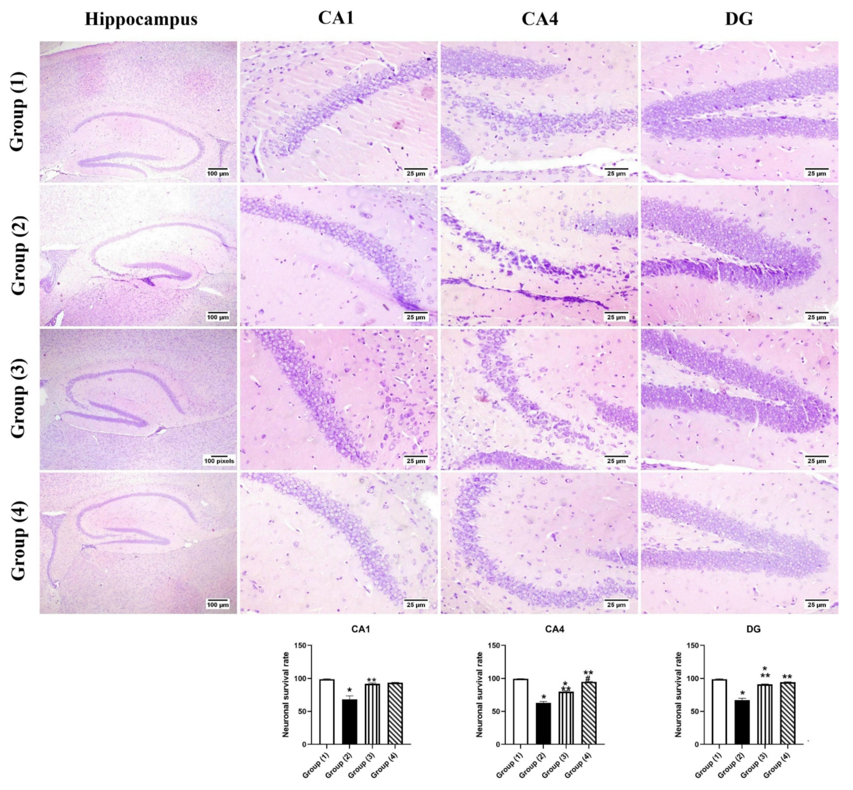 Pharmaceutics 14 01003 g007
