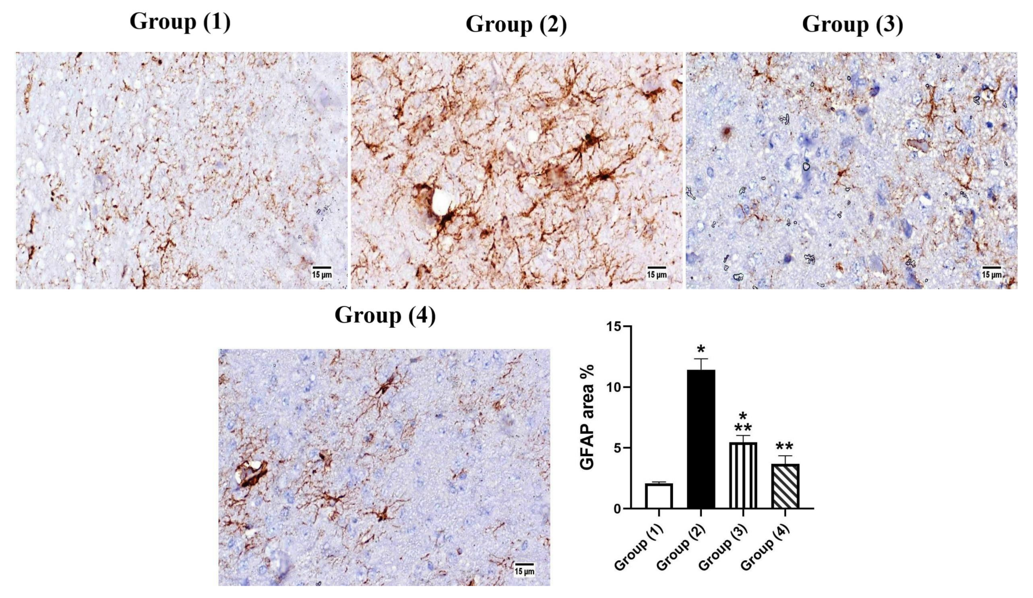 Pharmaceutics 14 01003 g009