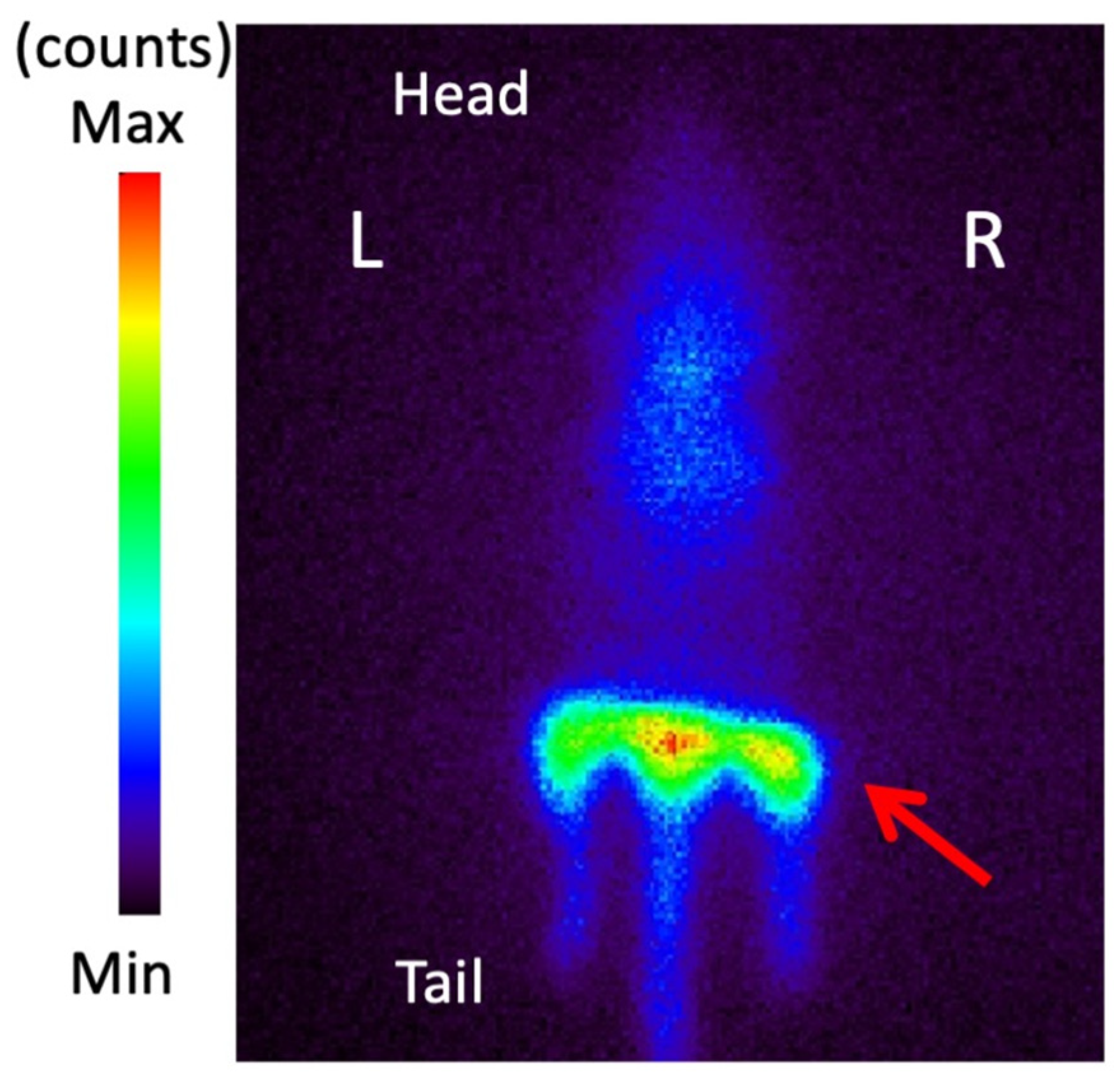 Pharmaceutics 14 01008 g005