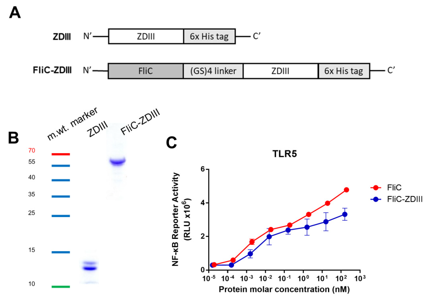 Pharmaceutics 14 01014 g001