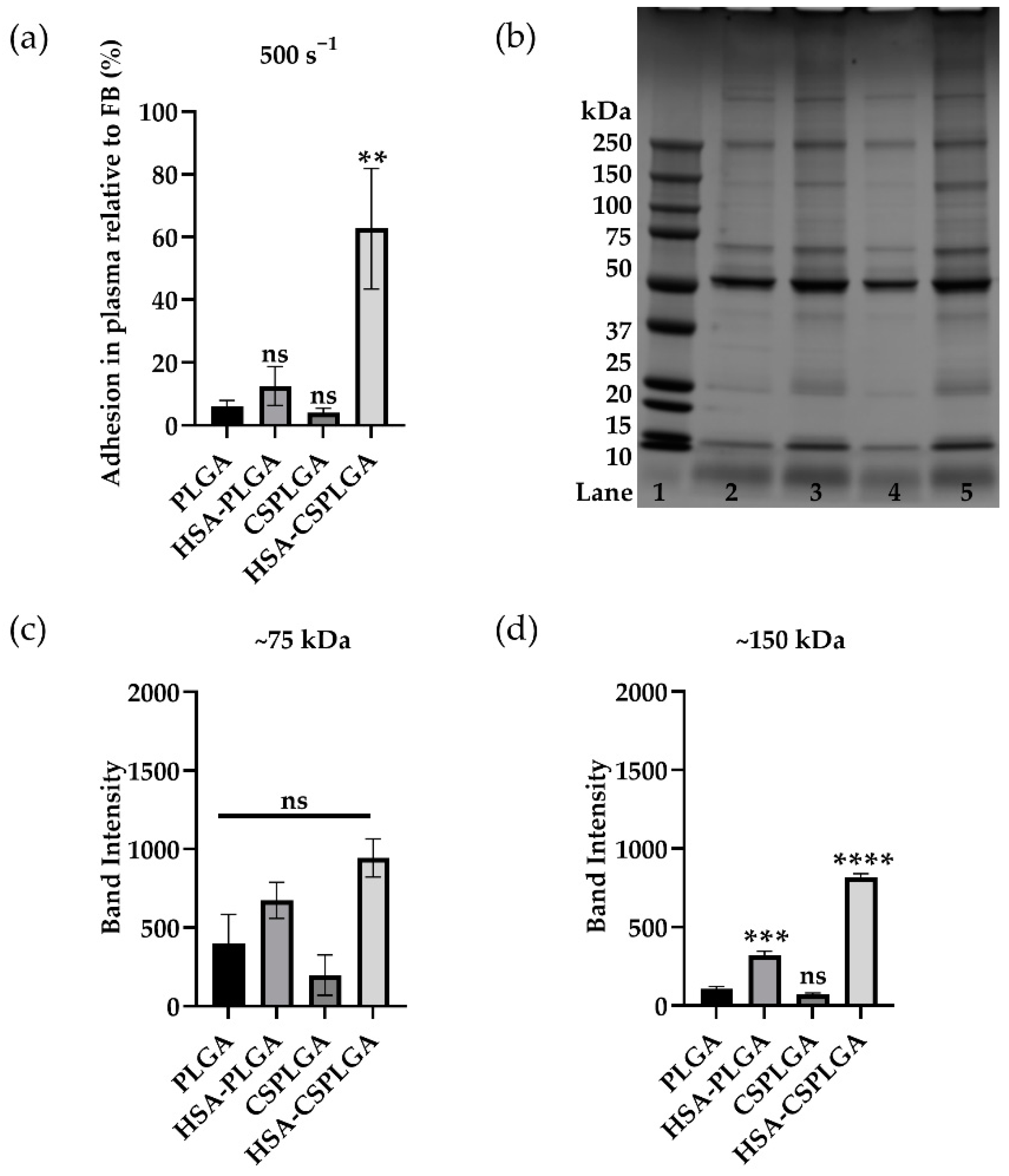 Pharmaceutics 14 01018 g004