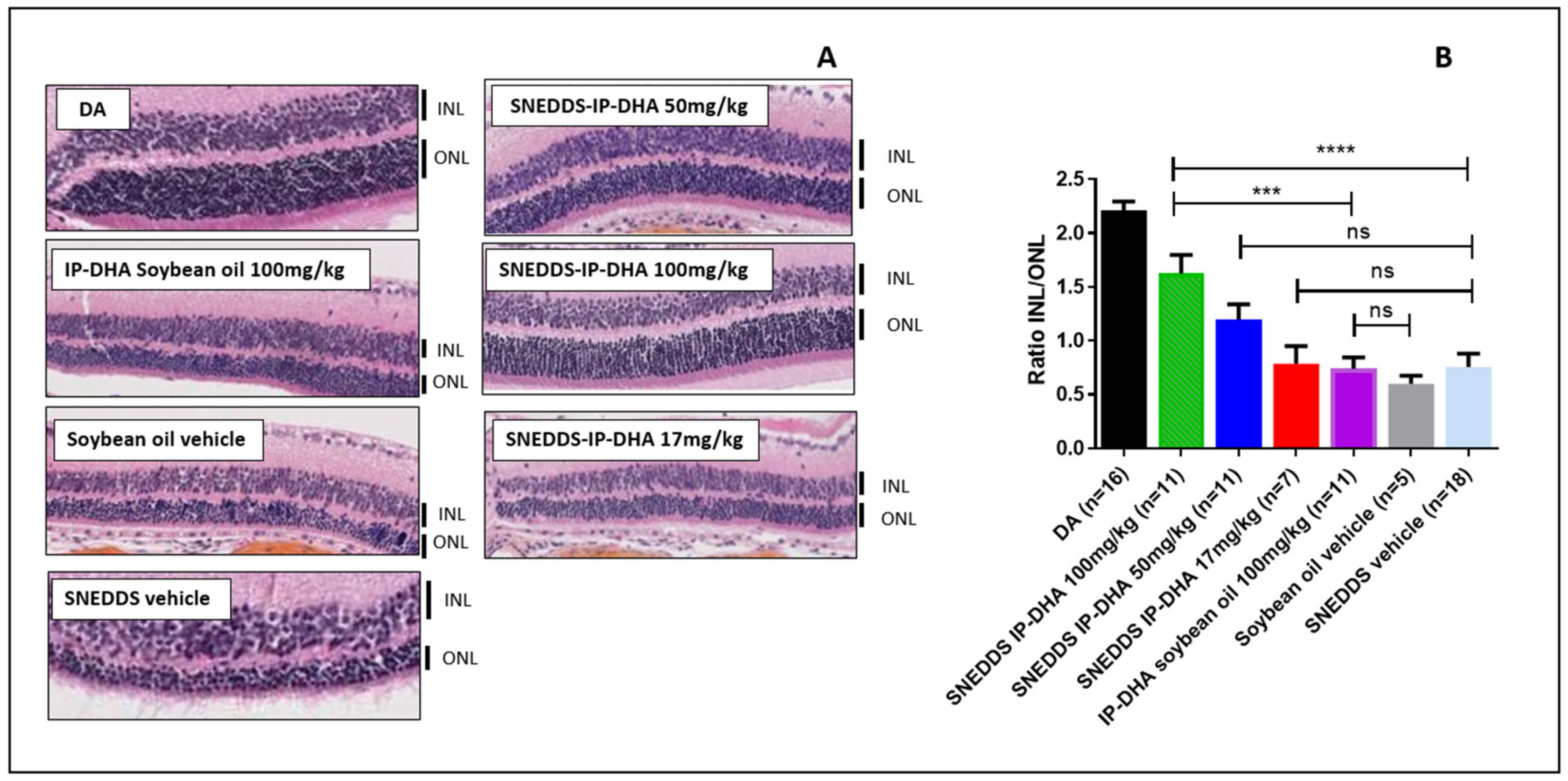 Pharmaceutics 14 01029 g008