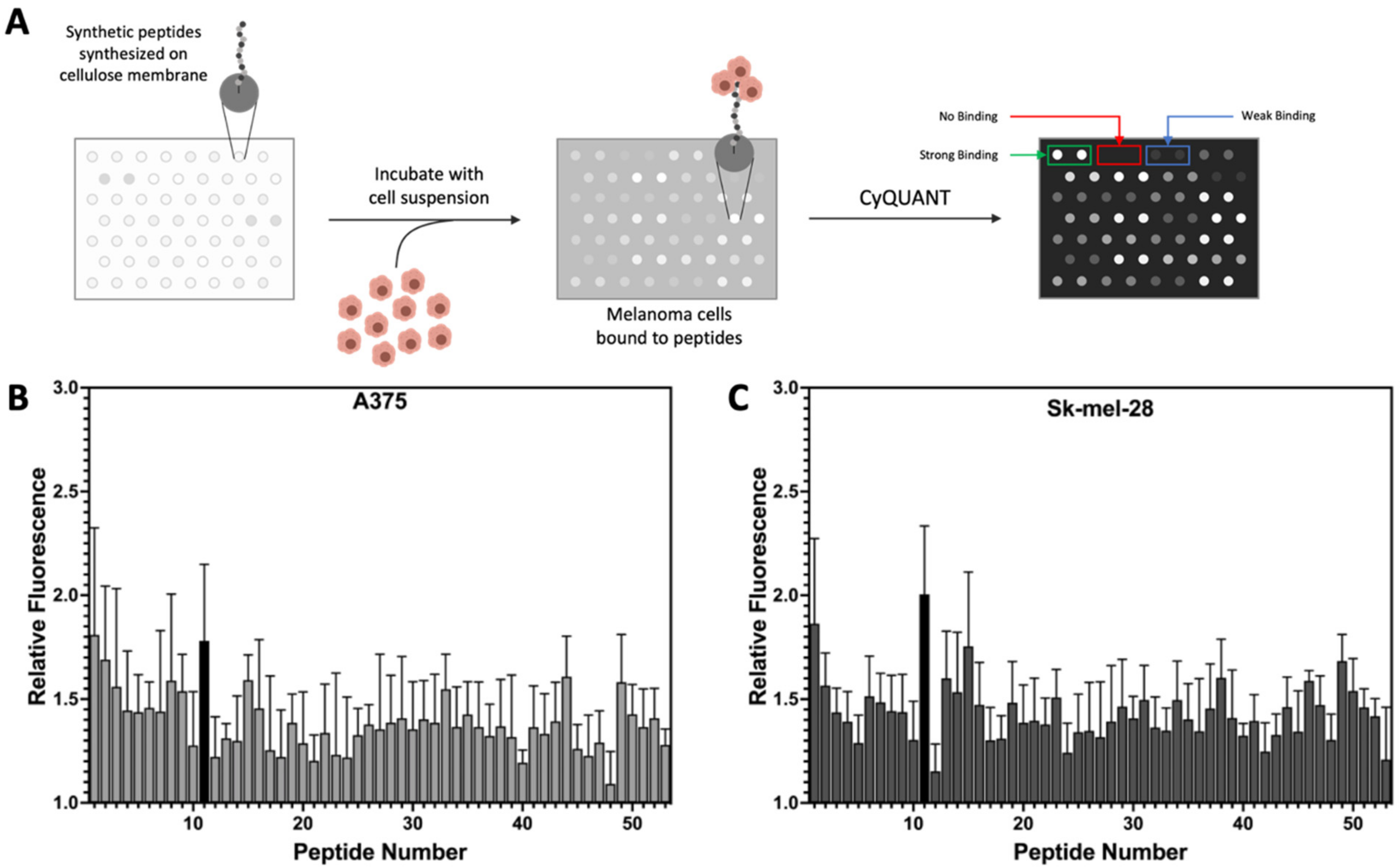 Pharmaceutics 14 01036 g002