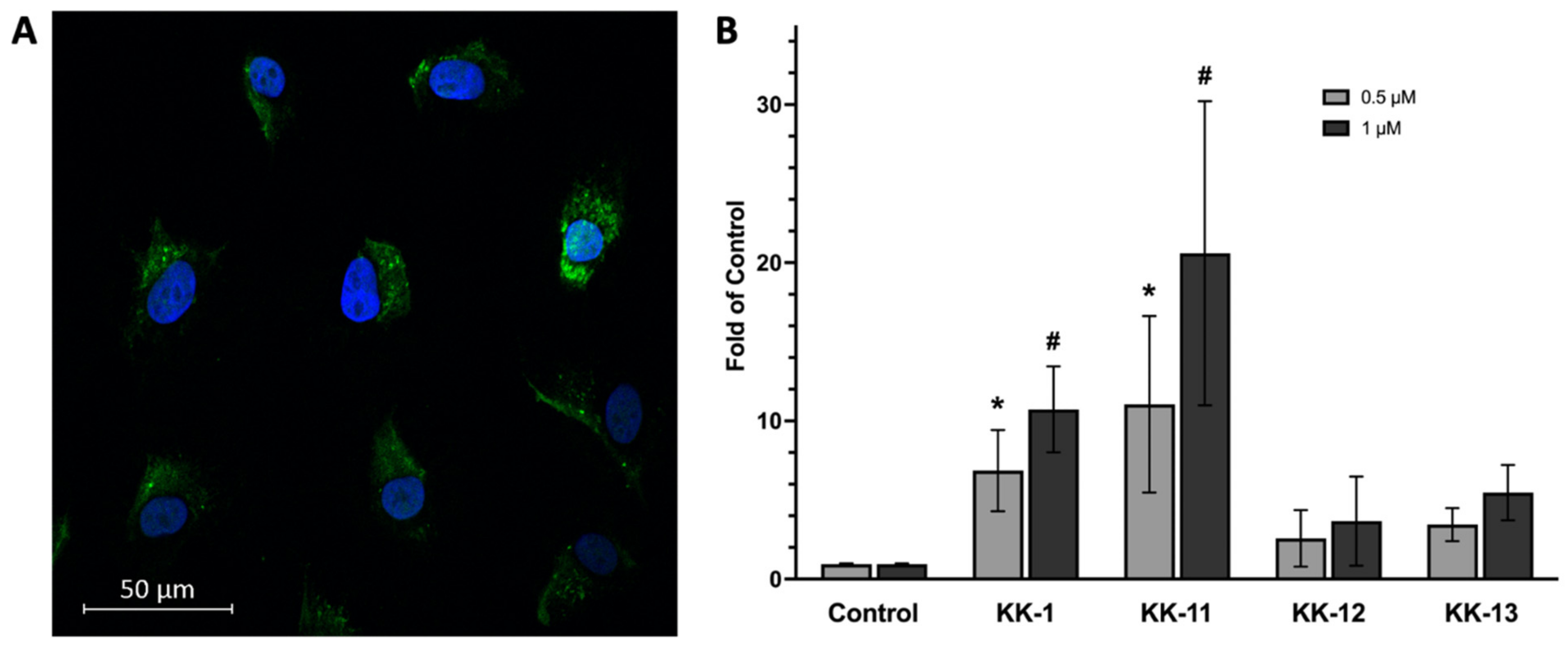 Pharmaceutics 14 01036 g003a