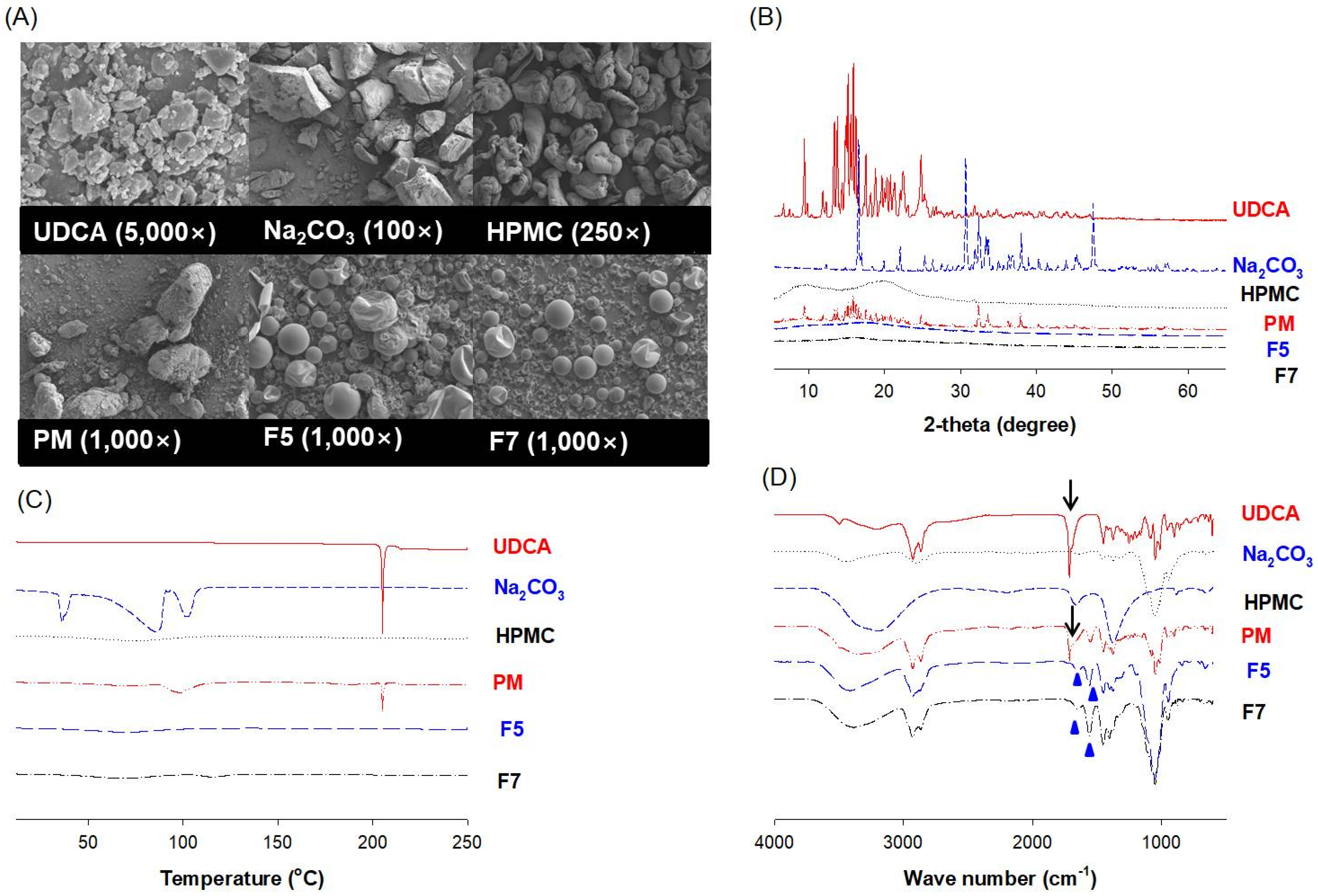Pharmaceutics 14 01037 g007