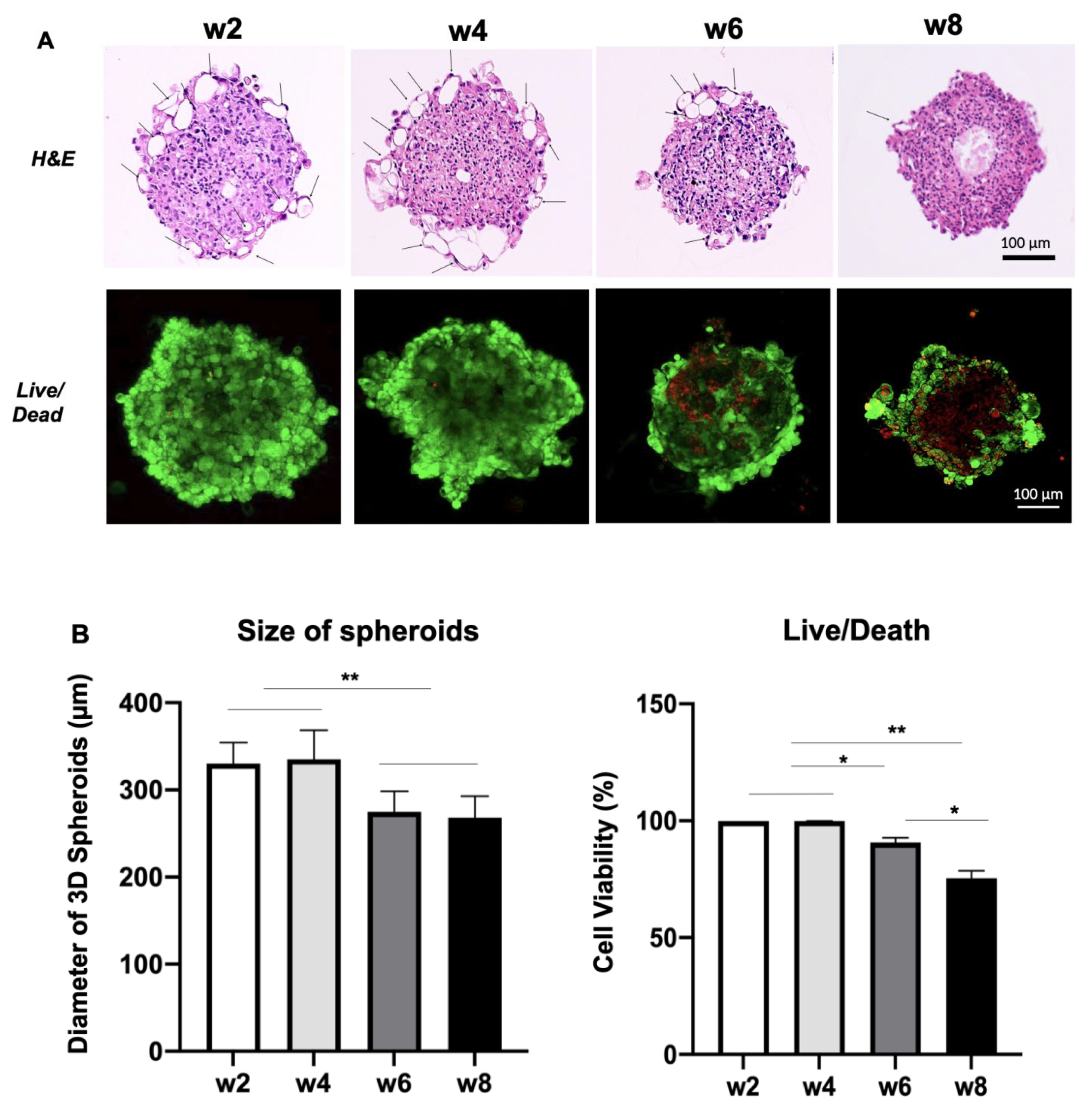 Pharmaceutics 14 01042 g001