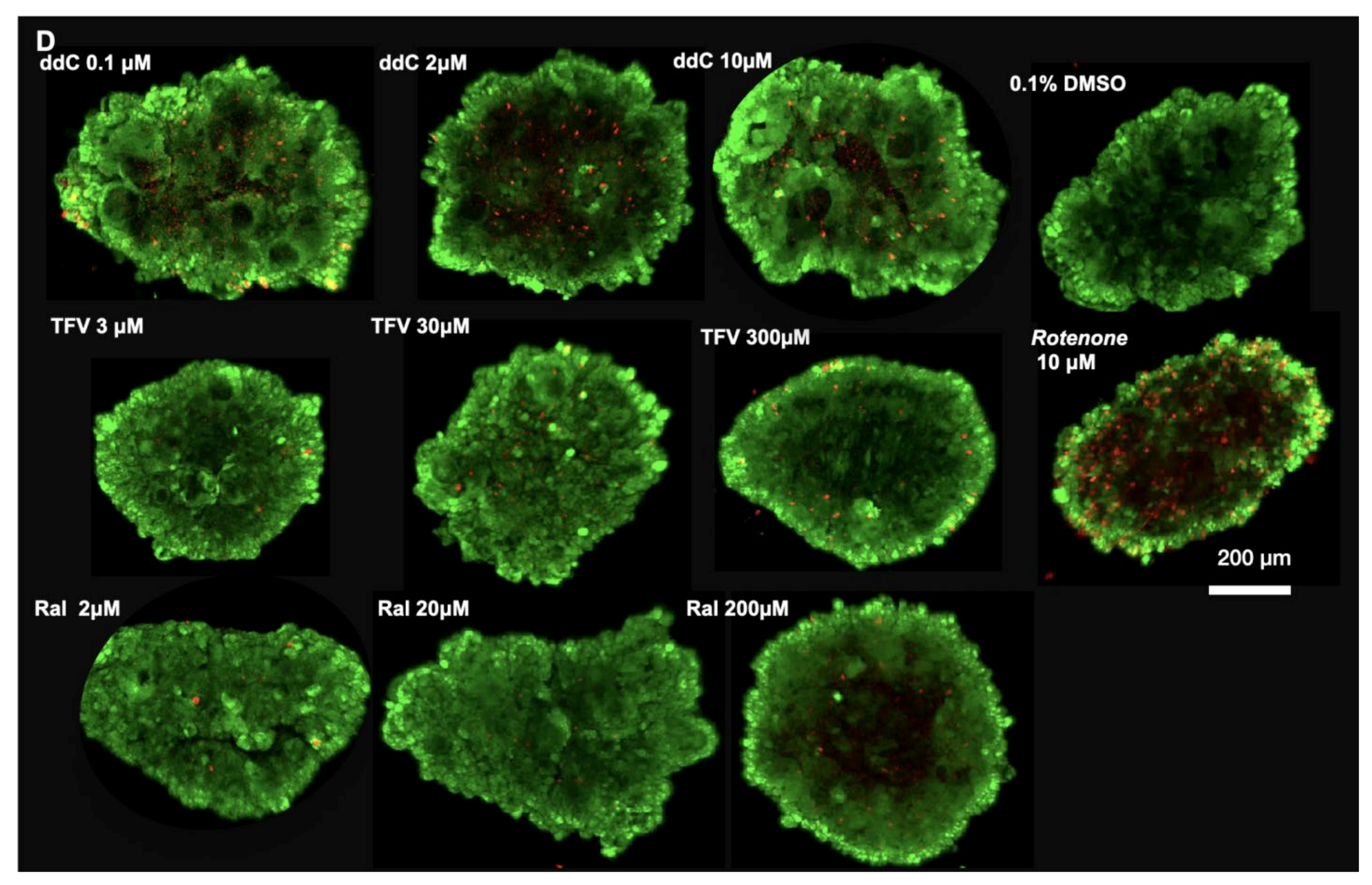 Pharmaceutics 14 01042 g002b