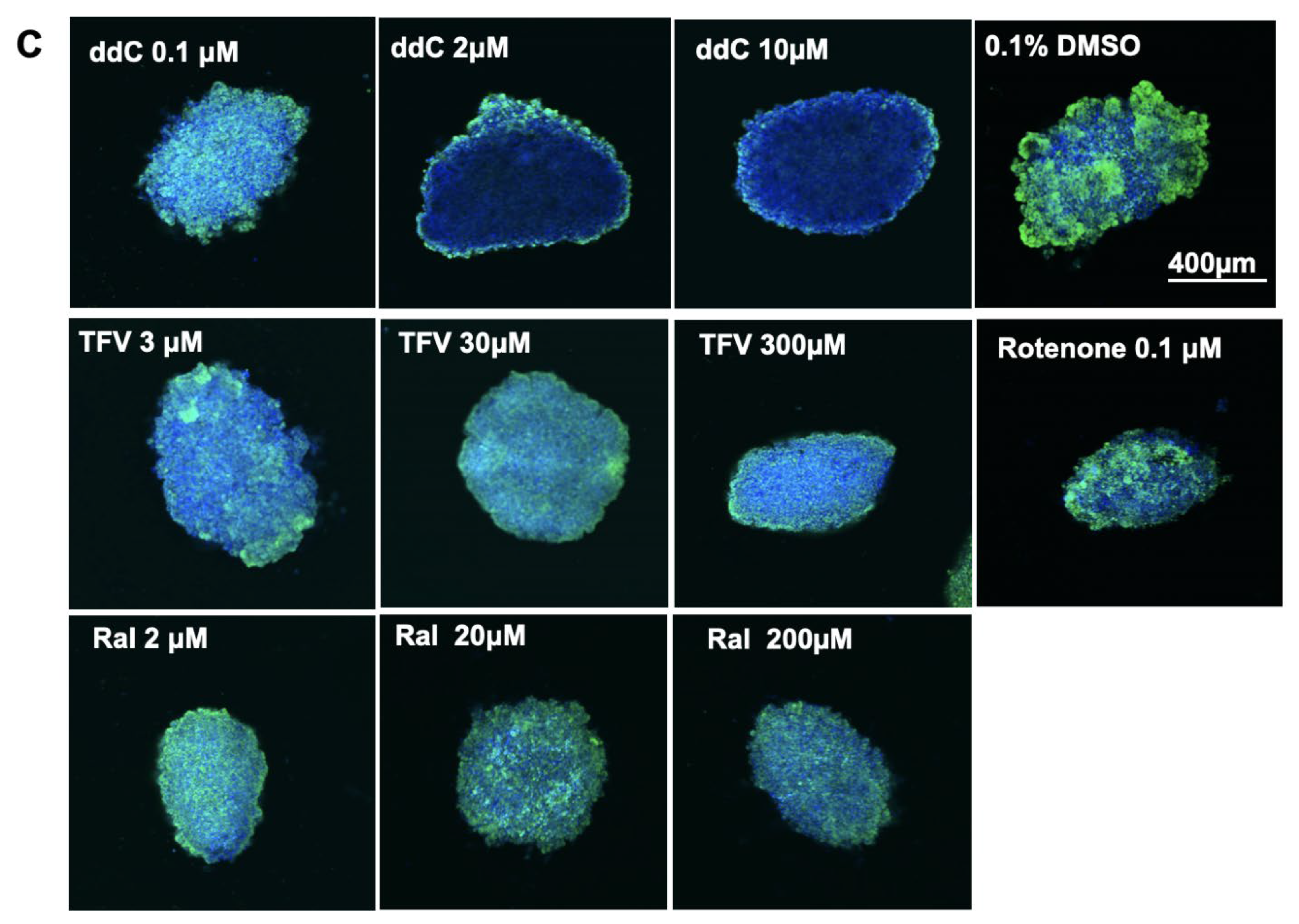 Pharmaceutics 14 01042 g005b