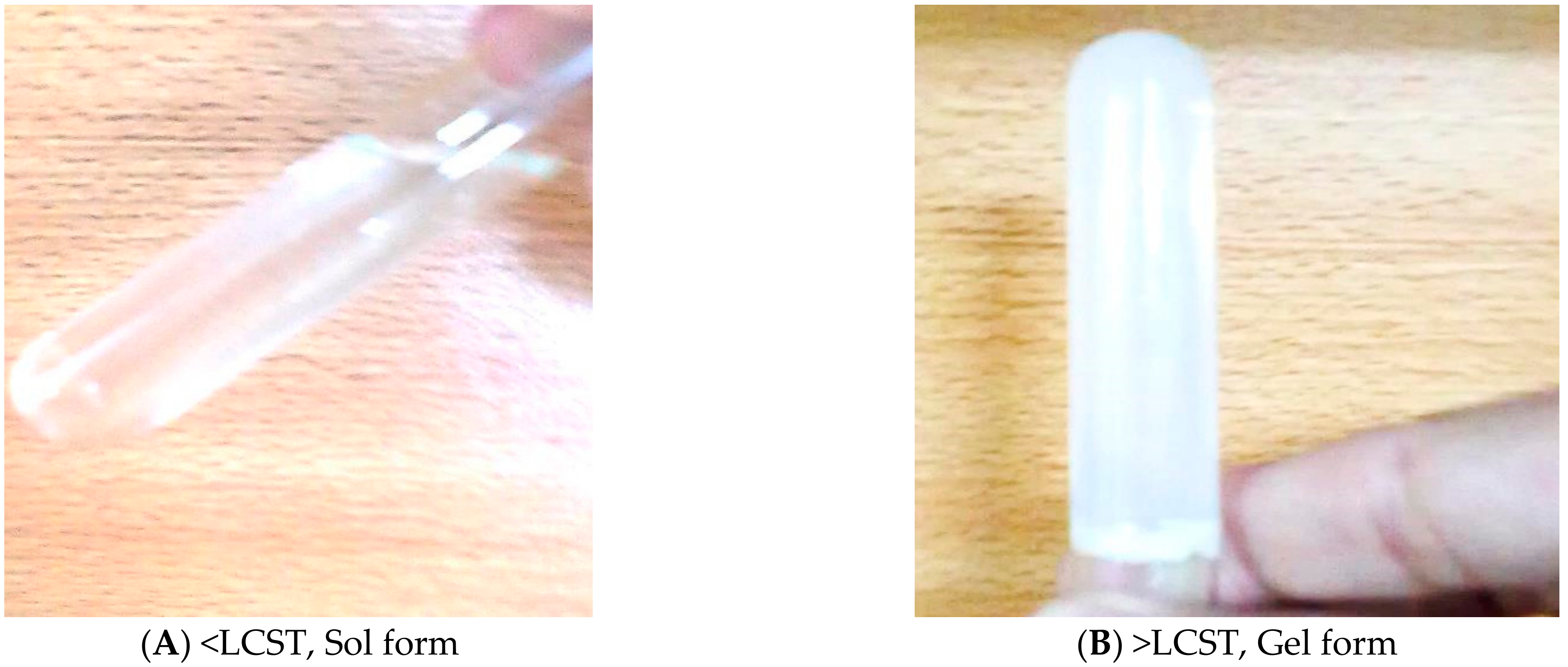 Pharmaceutics 14 01050 g006