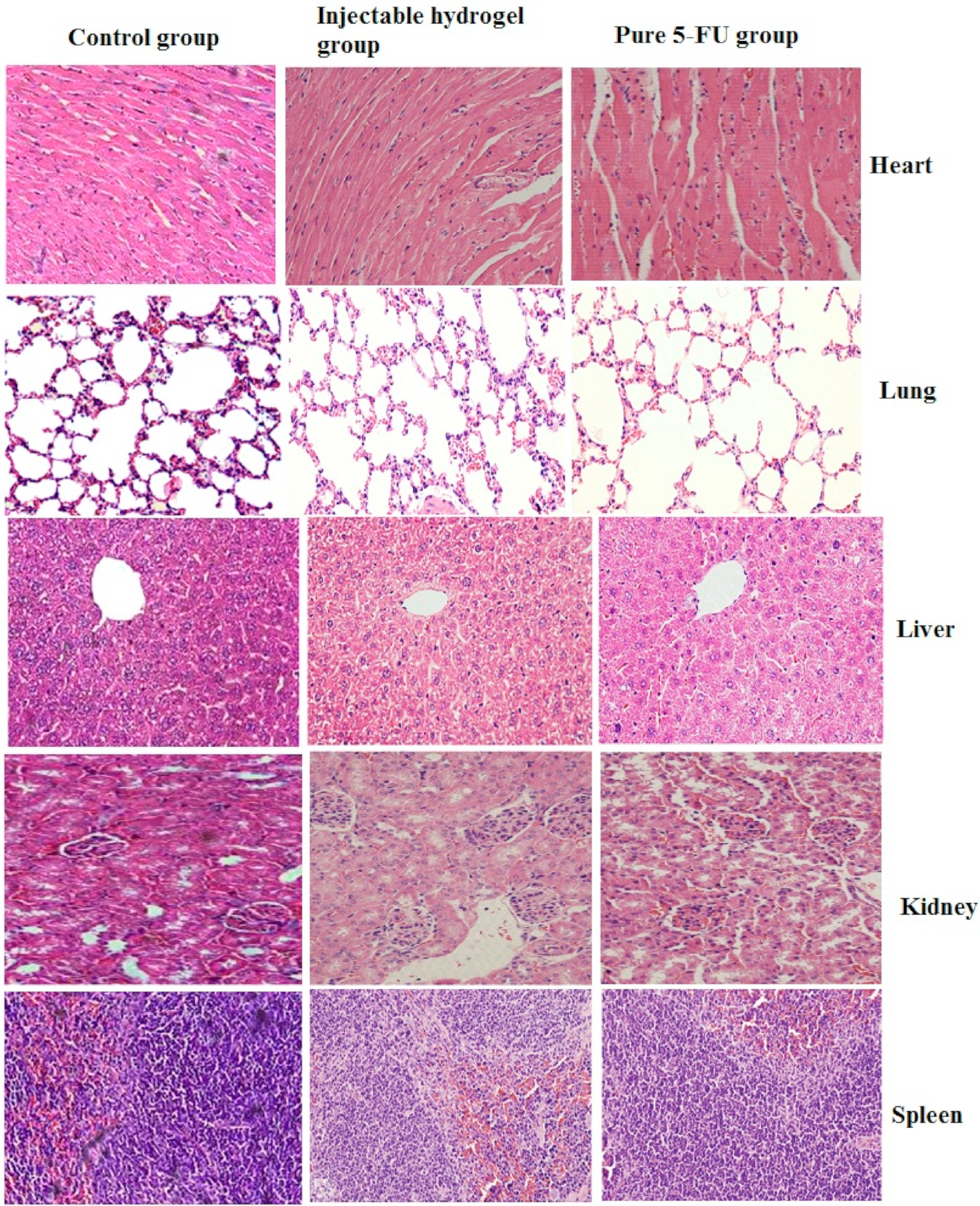 Pharmaceutics 14 01050 g015