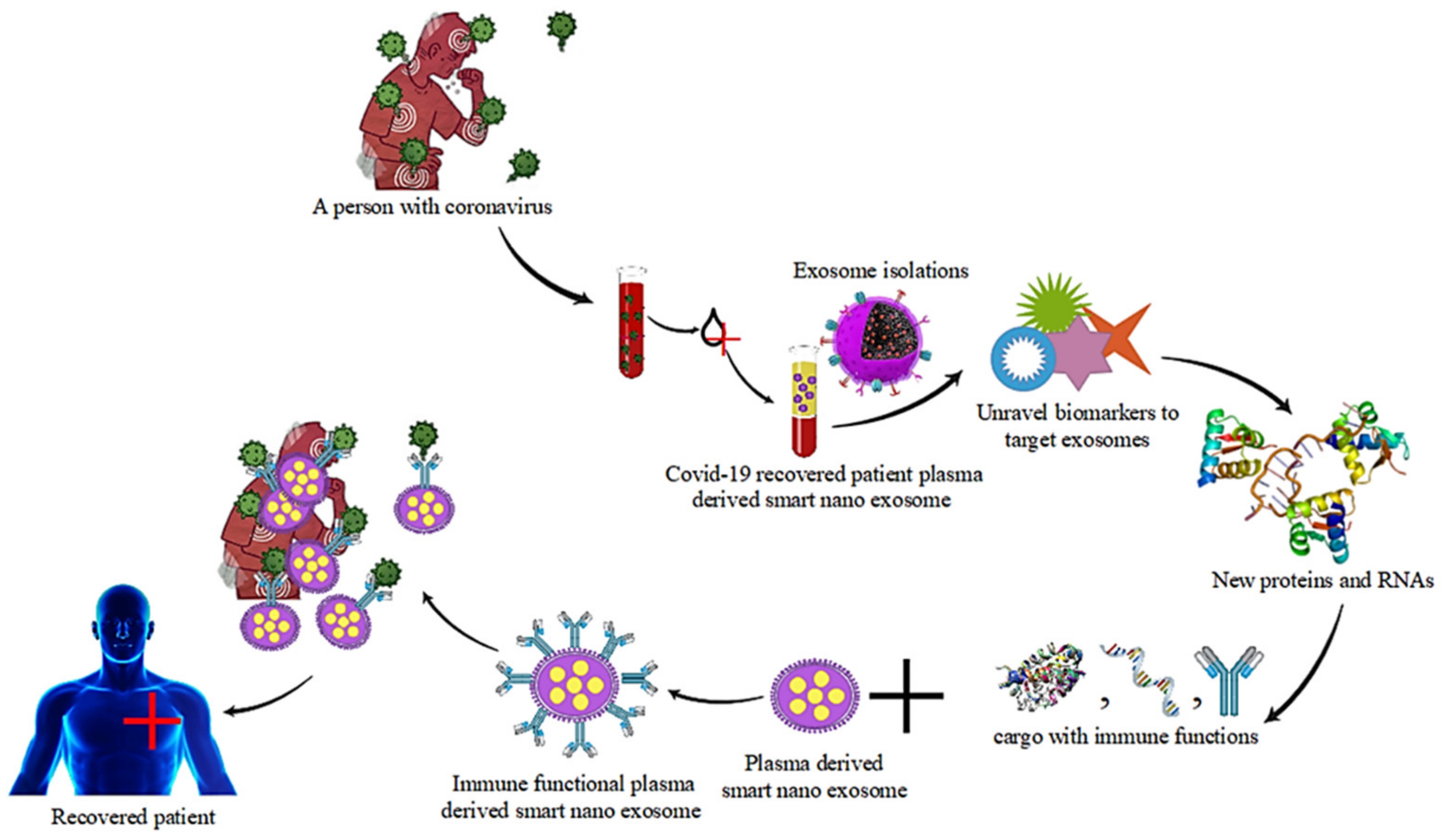 Pharmaceutics 14 01054 g003