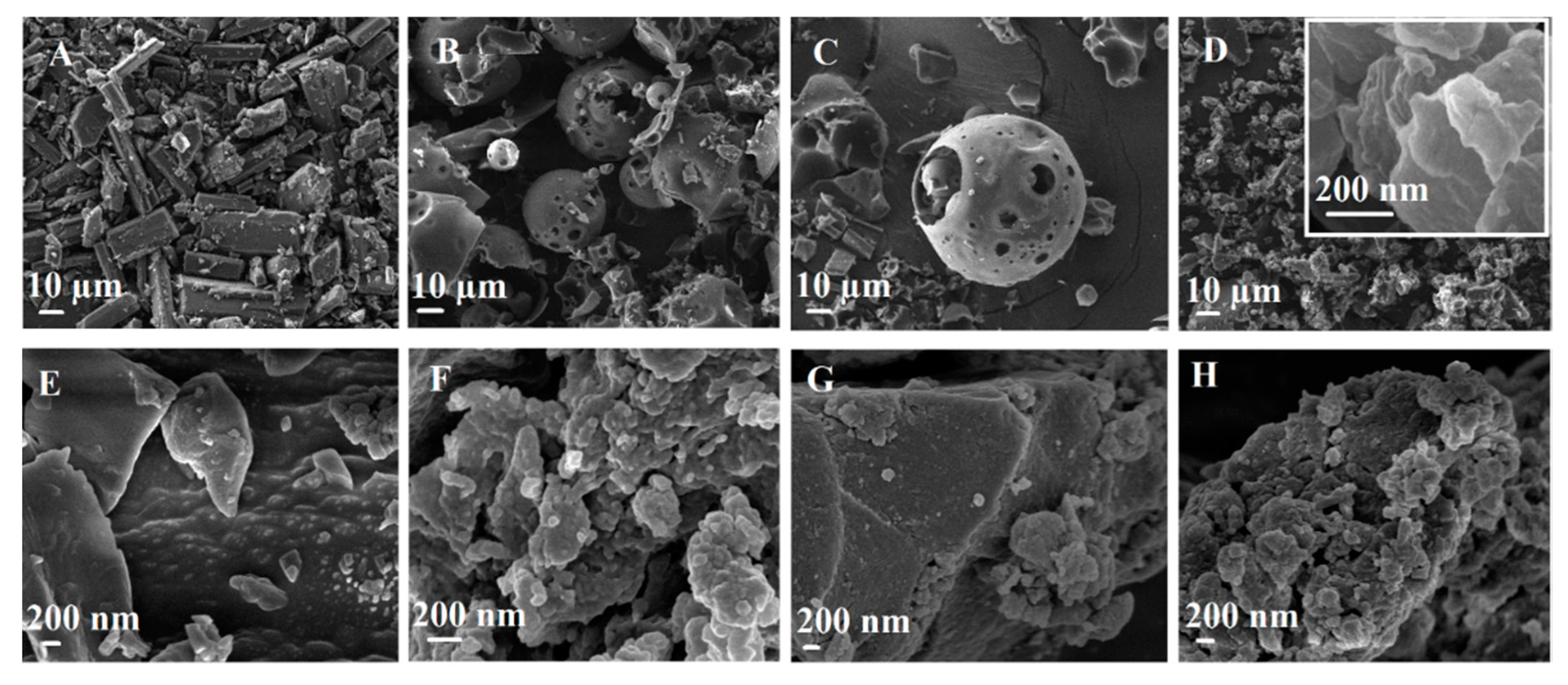 Pharmaceutics 14 01059 g008