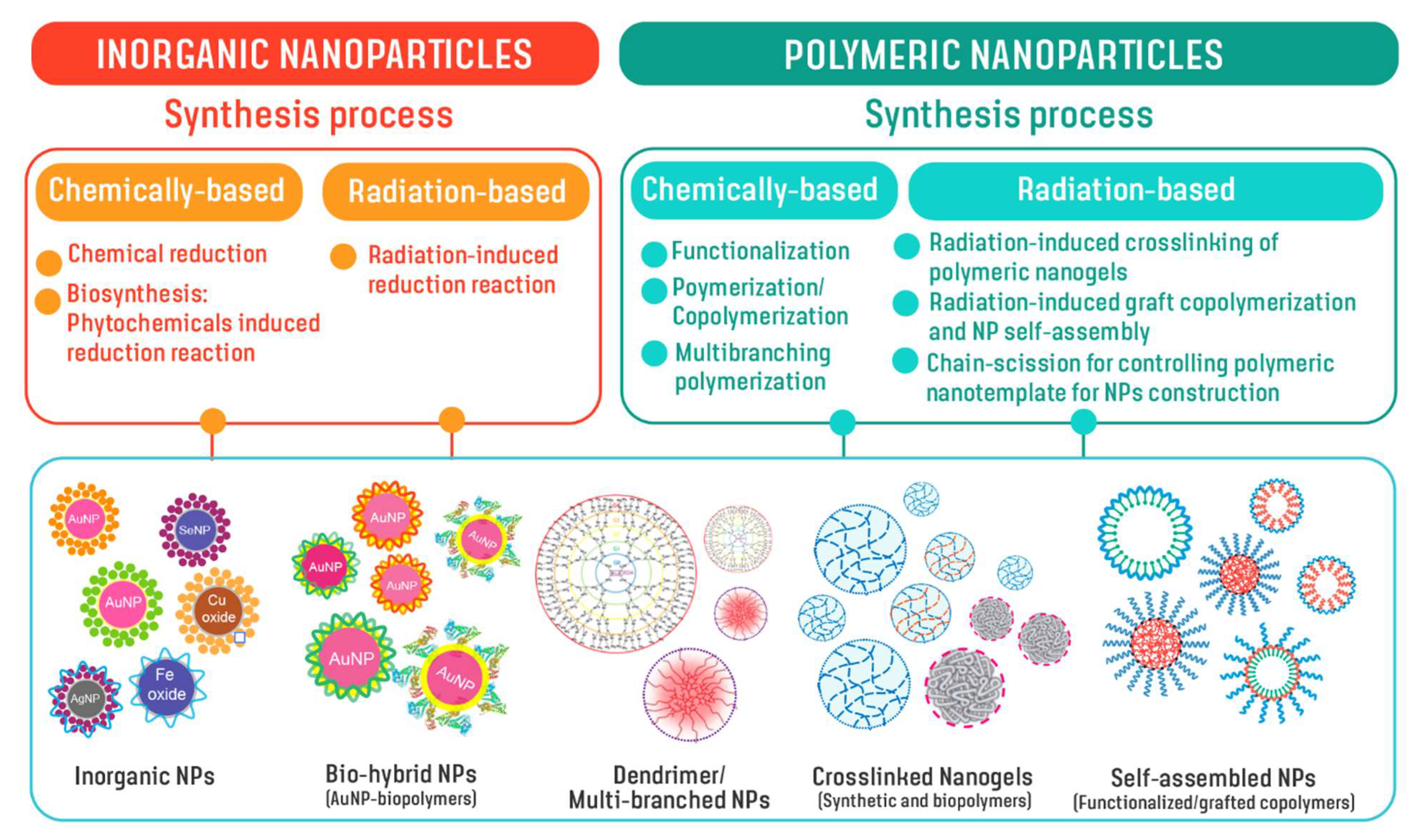 Pharmaceutics 14 01060 g003