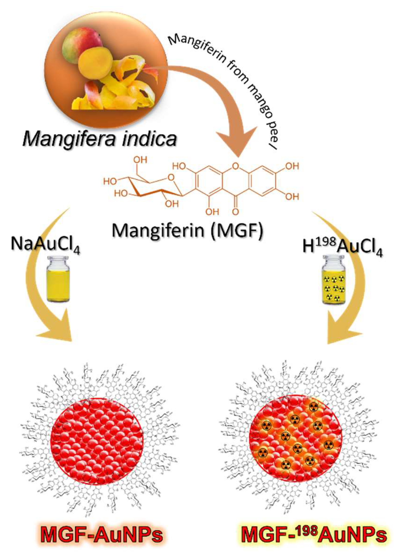 Pharmaceutics 14 01060 g004