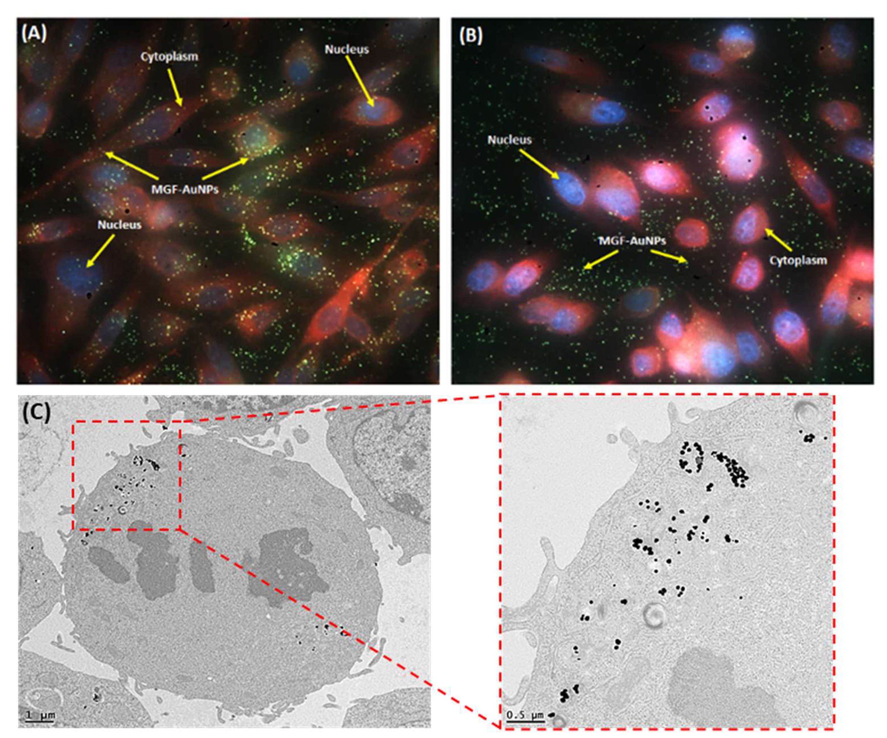 Pharmaceutics 14 01060 g006