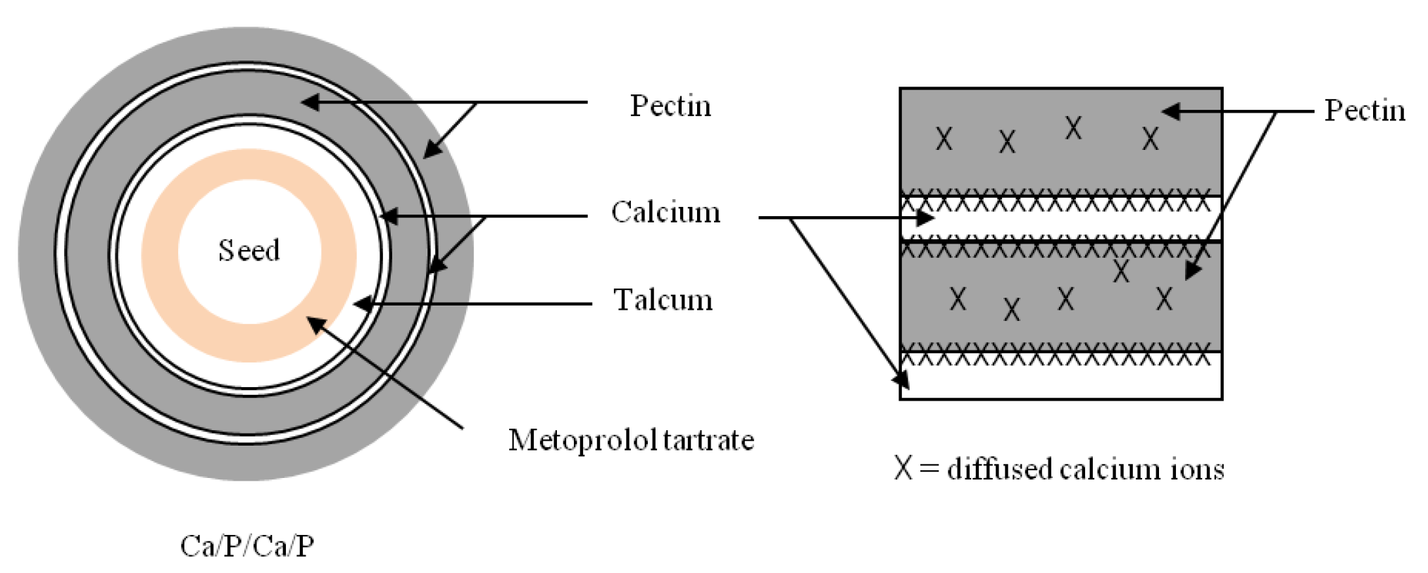 Pharmaceutics 14 01061 g003 Pharmaceutics 14 01061 g003