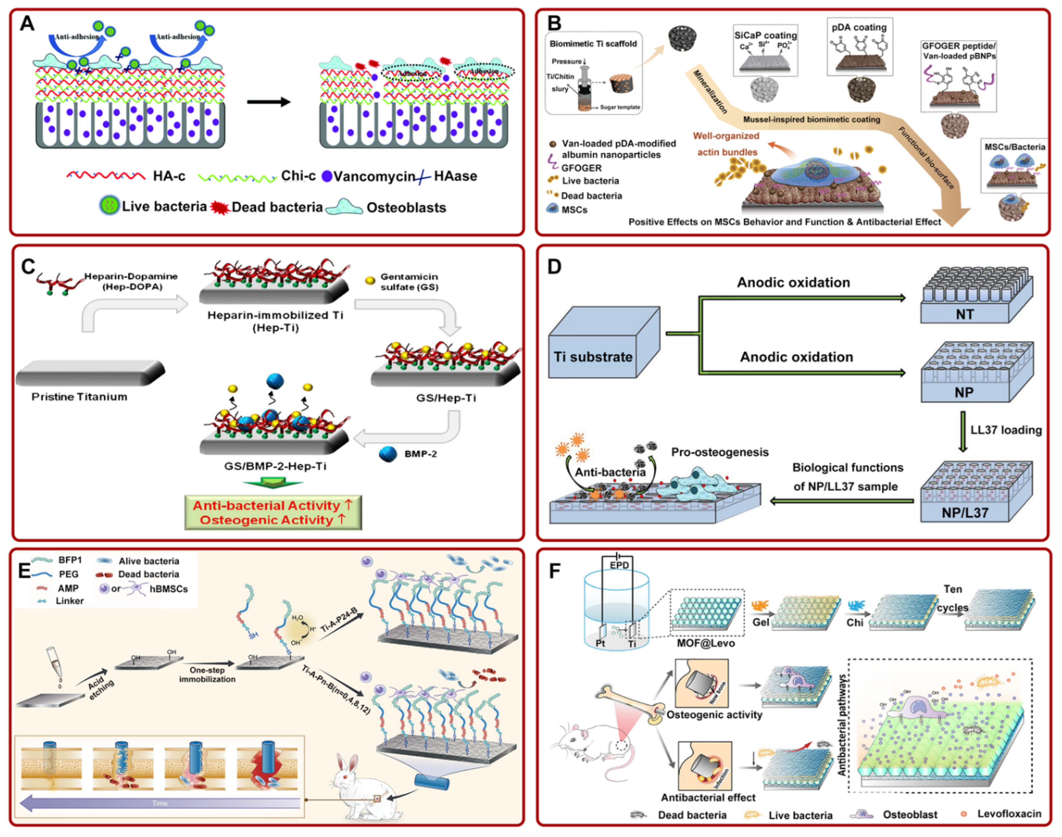 Pharmaceutics 14 01069 g002