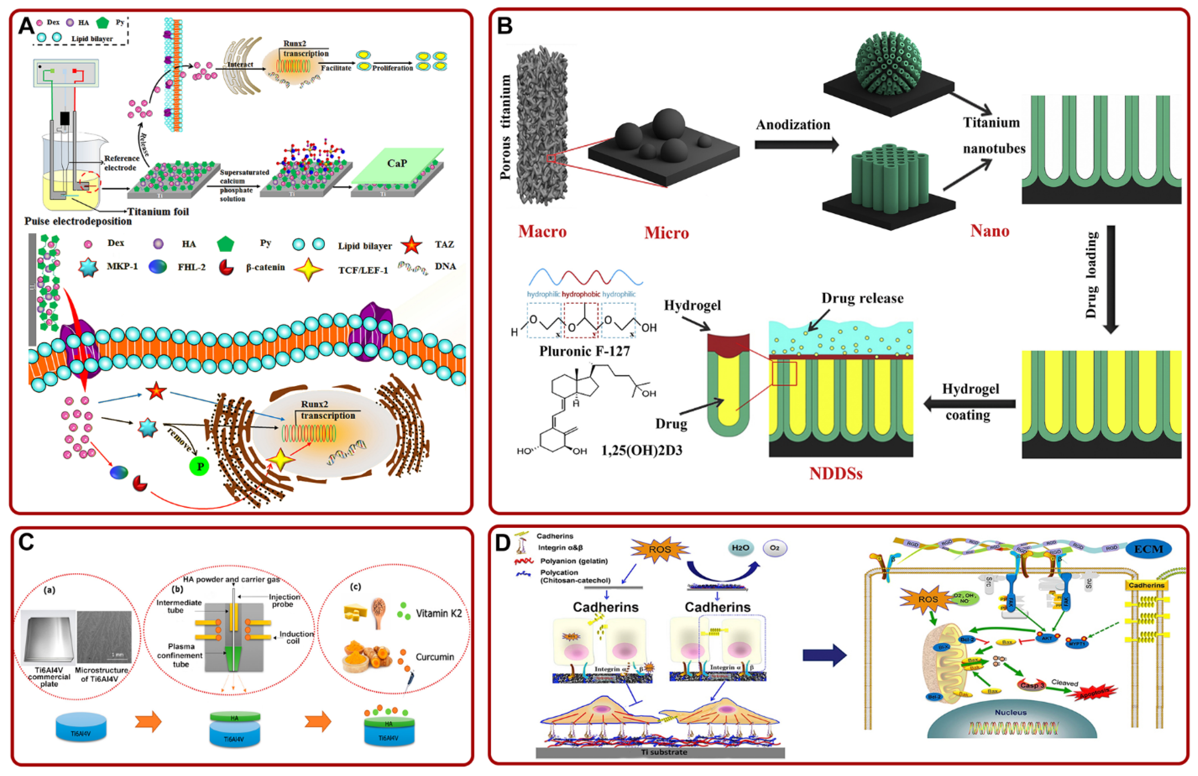 Pharmaceutics 14 01069 g004