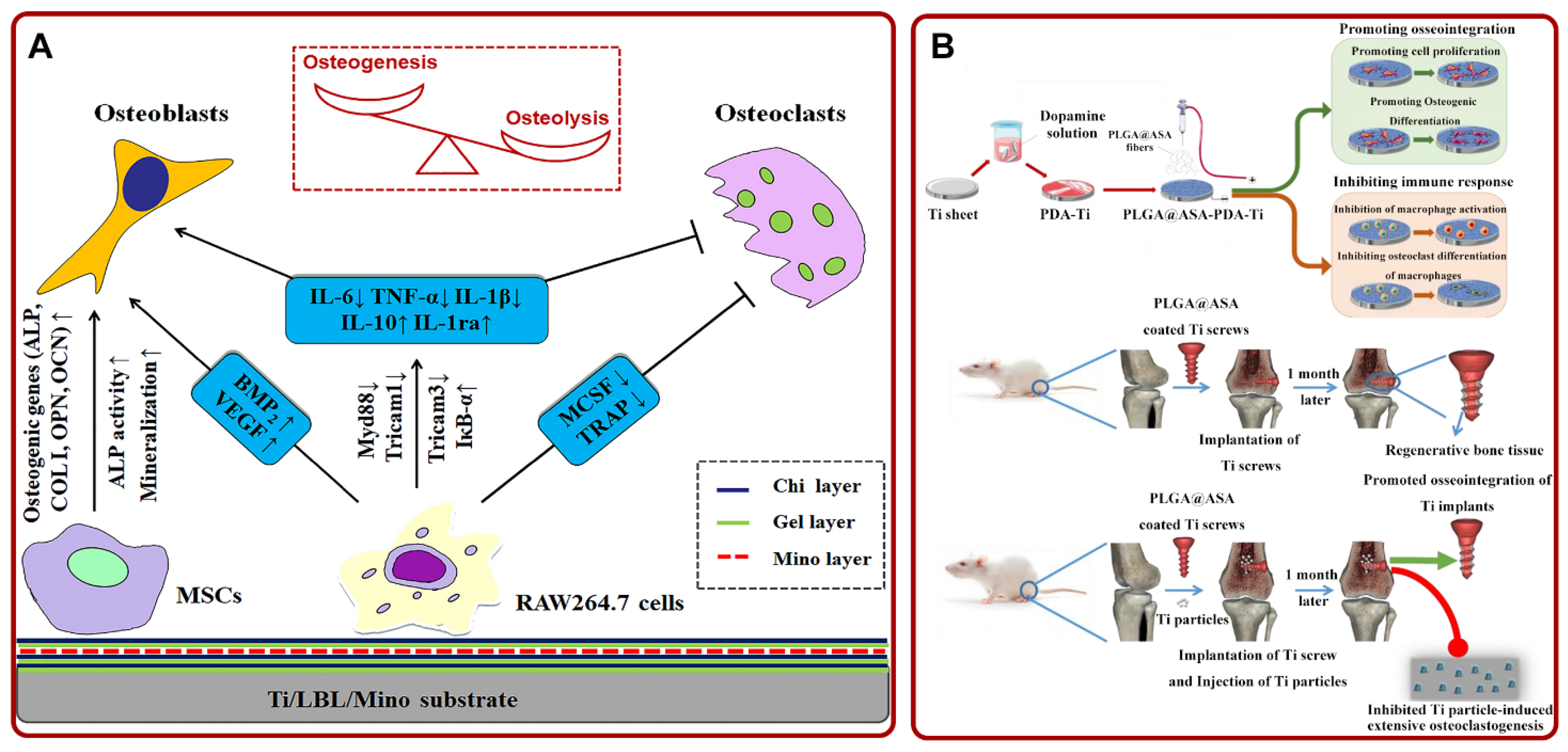 Pharmaceutics 14 01069 g005