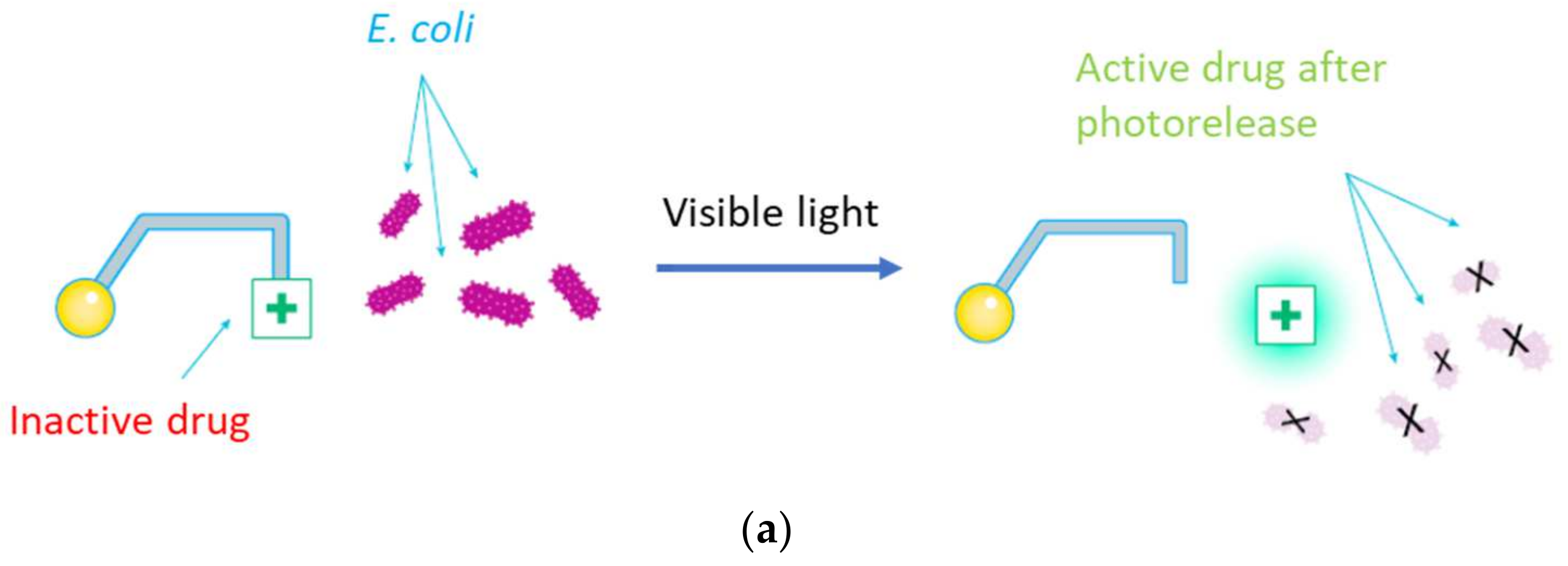 Pharmaceutics 14 01070 g001a