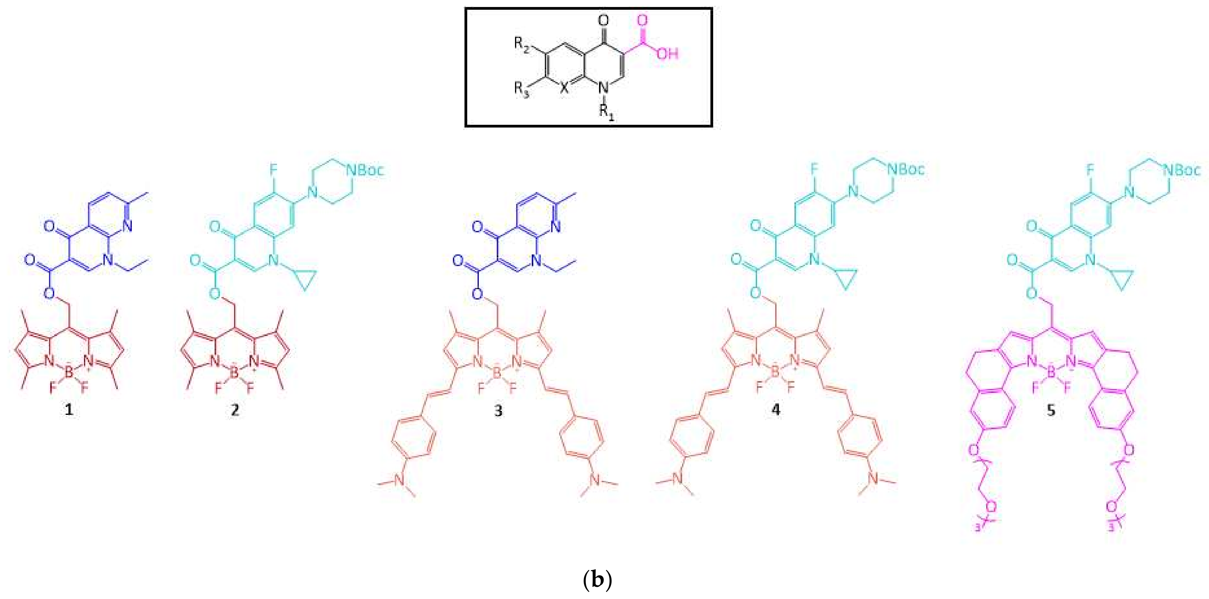 Pharmaceutics 14 01070 g001b