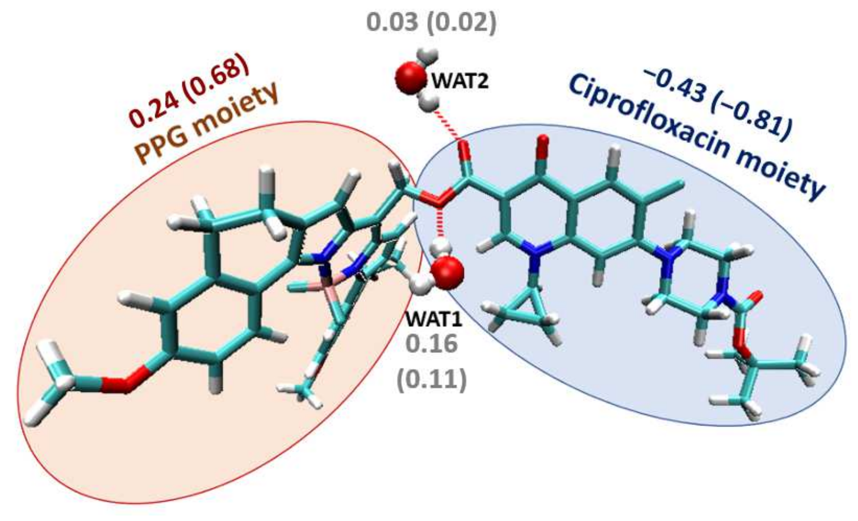 Pharmaceutics 14 01070 g005