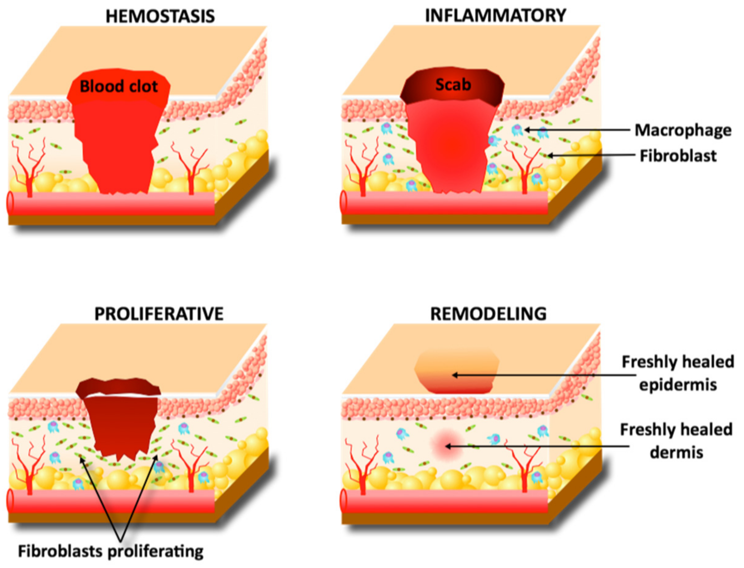 Pharmaceutics 14 01072 g001 Pharmaceutics 14 01072 g001