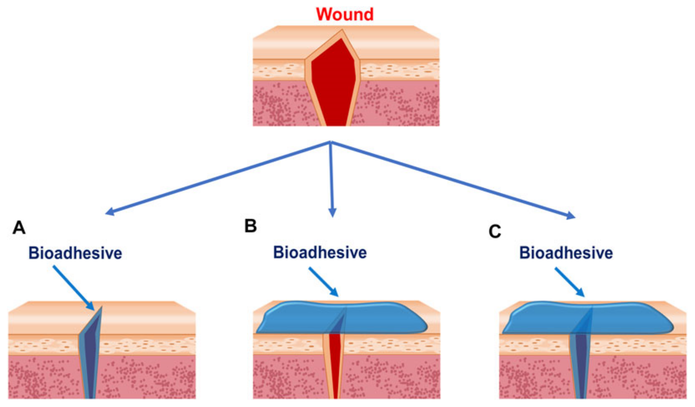 Pharmaceutics 14 01072 g002 Pharmaceutics 14 01072 g002