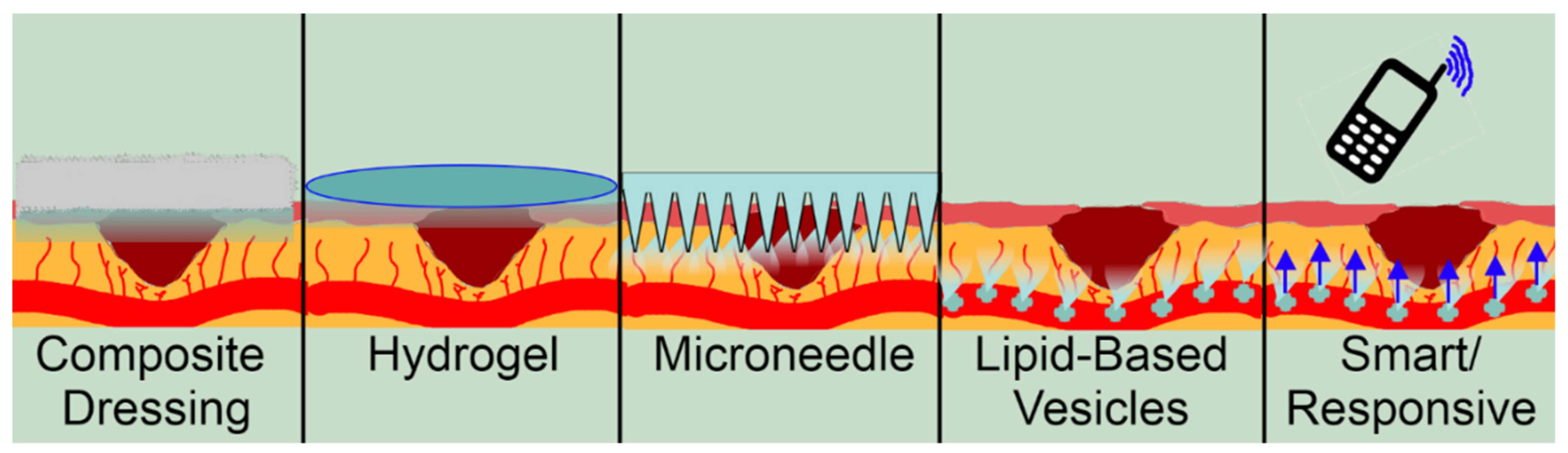 Pharmaceutics 14 01072 g003 Pharmaceutics 14 01072 g003