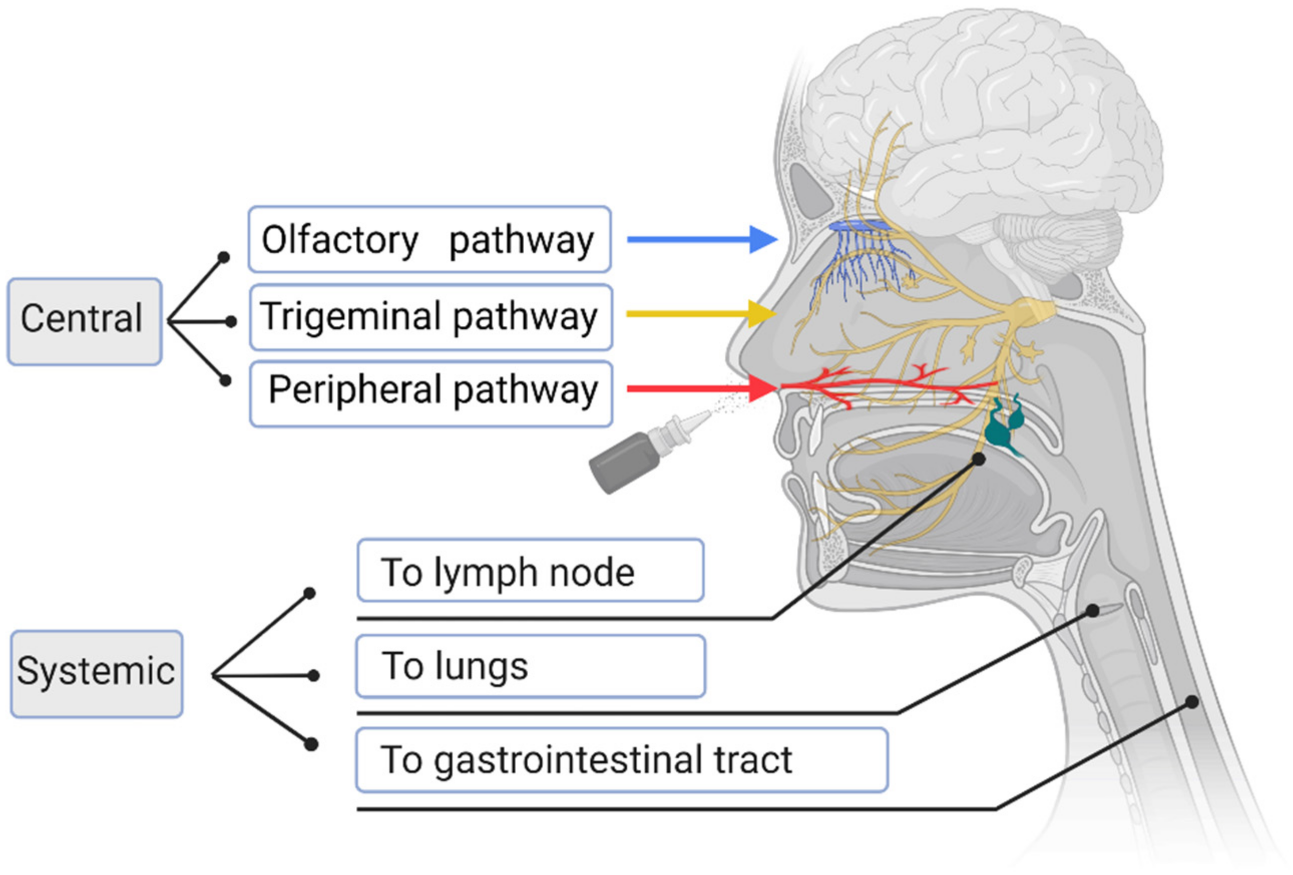 Pharmaceutics 14 01073 g002
