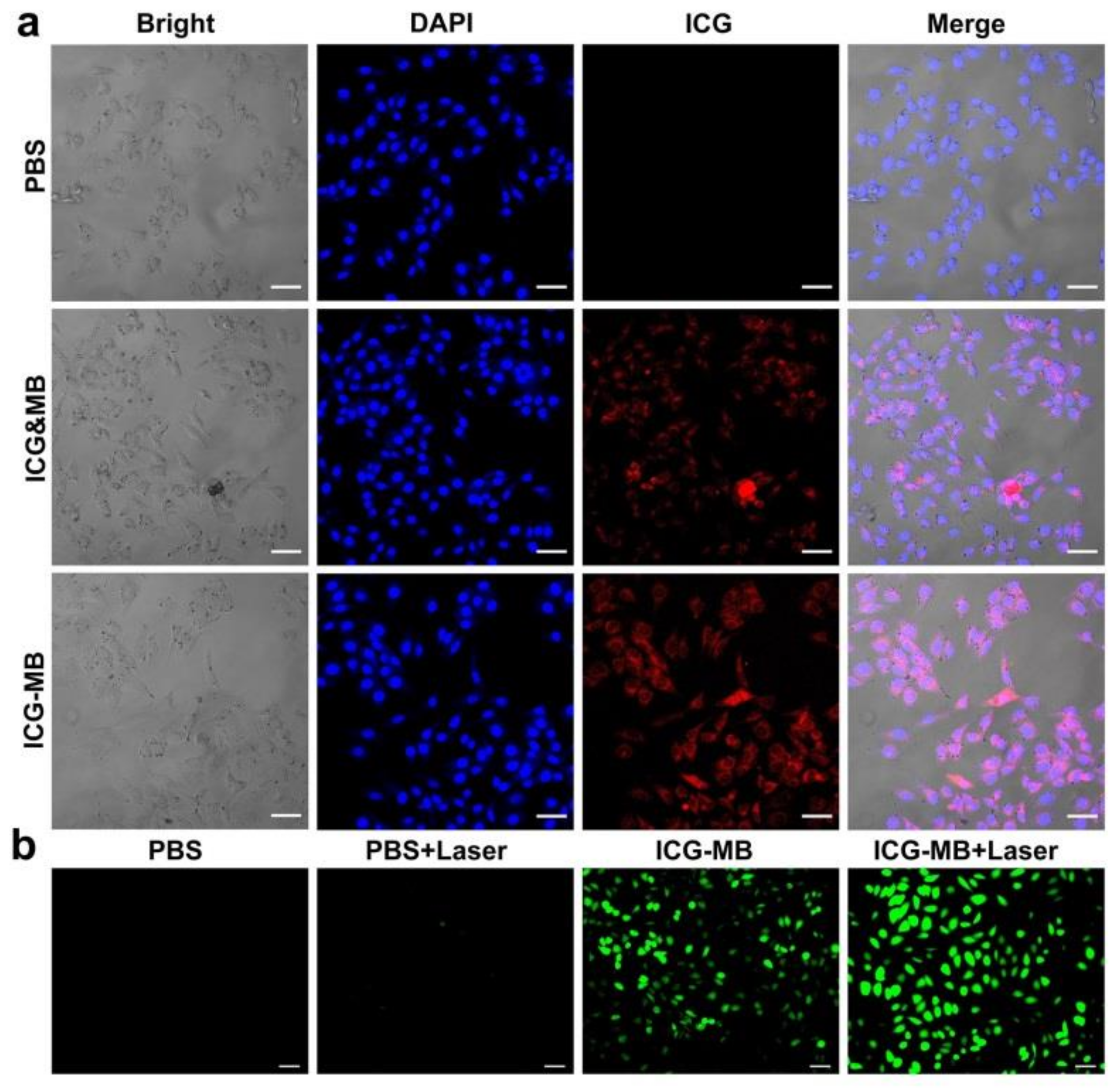 Pharmaceutics 14 01074 g004 Pharmaceutics 14 01074 g004