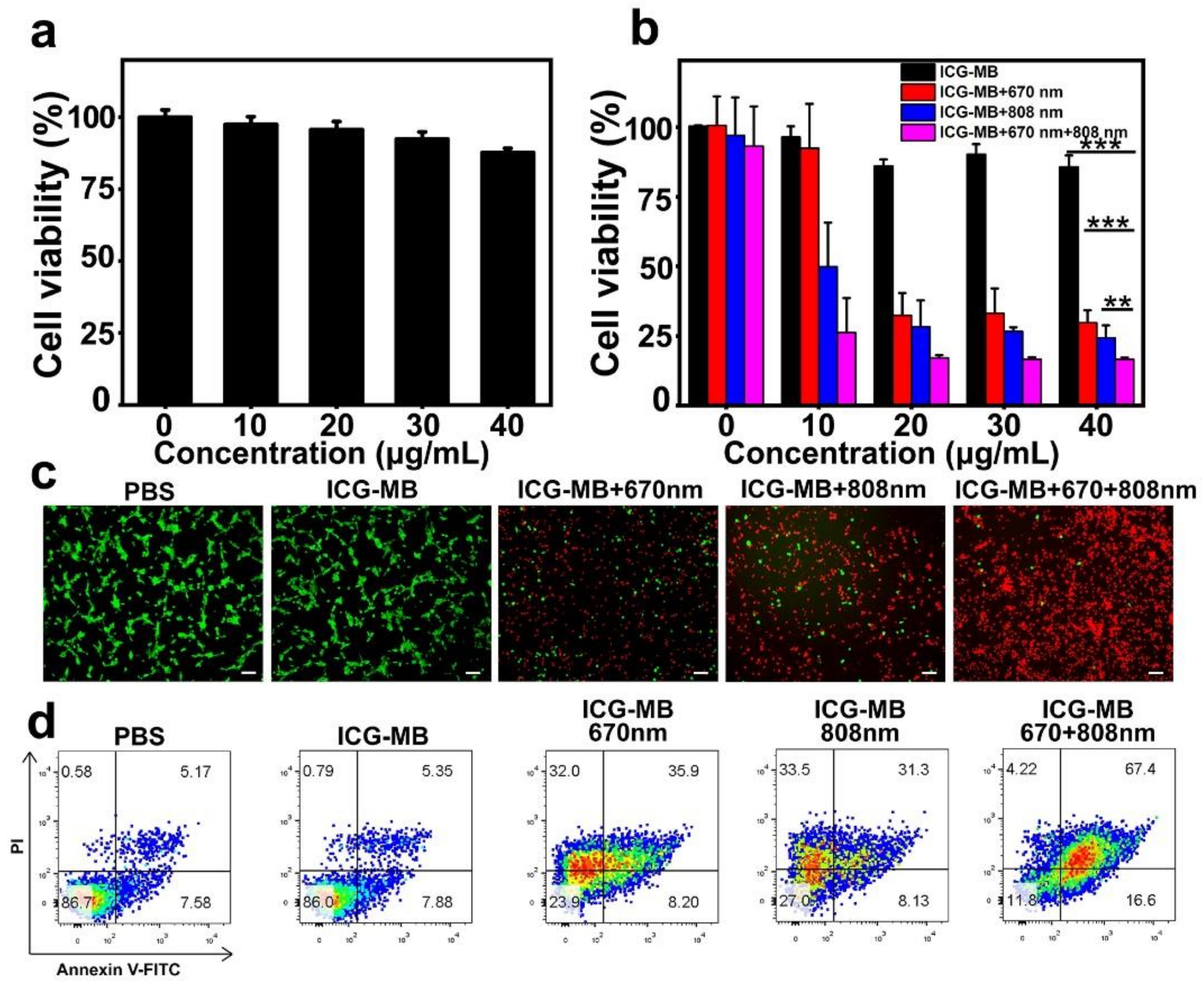 Pharmaceutics 14 01074 g005 Pharmaceutics 14 01074 g005
