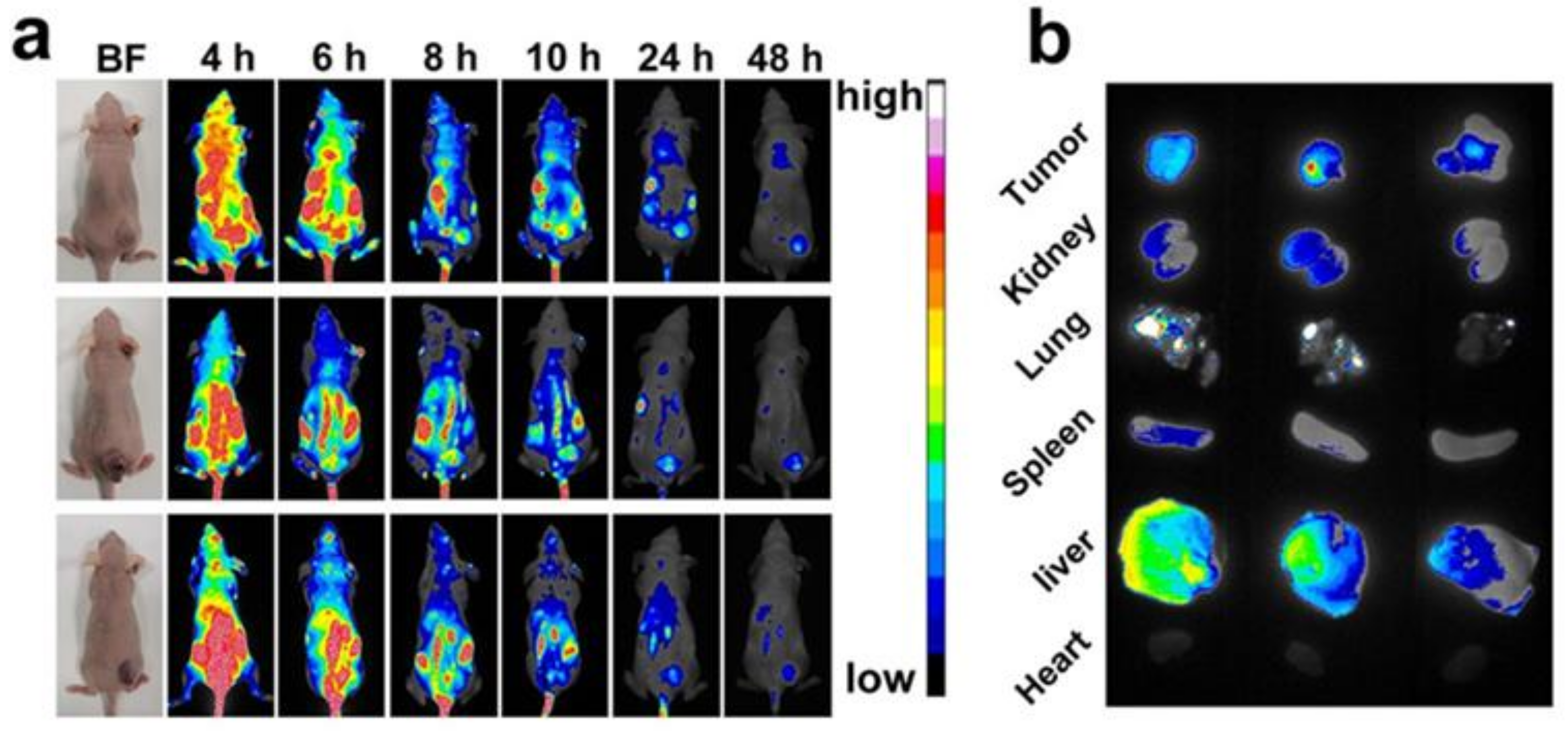 Pharmaceutics 14 01074 g006 Pharmaceutics 14 01074 g006