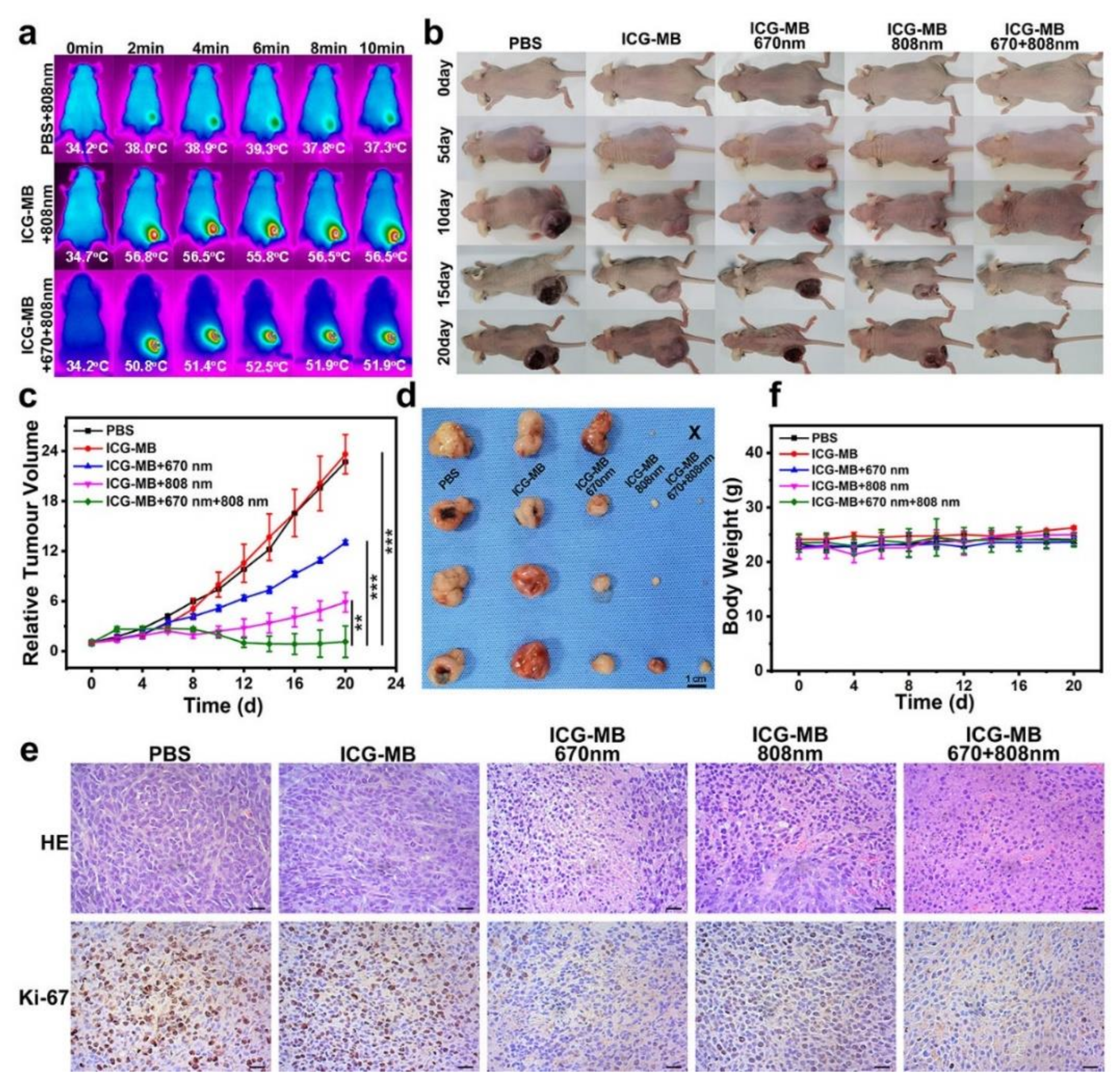 Pharmaceutics 14 01074 g007 Pharmaceutics 14 01074 g007