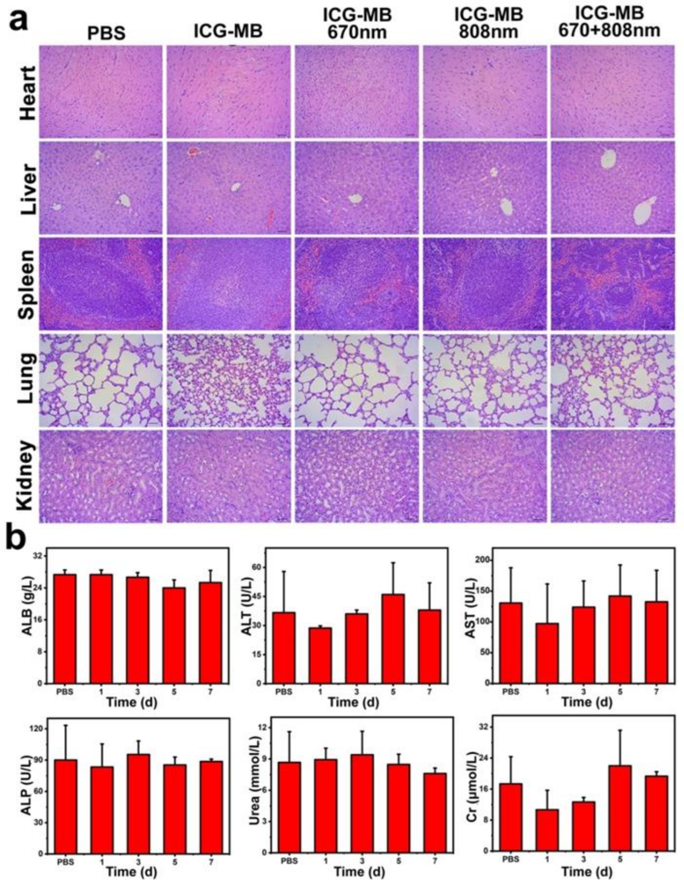 Pharmaceutics 14 01074 g008 Pharmaceutics 14 01074 g008