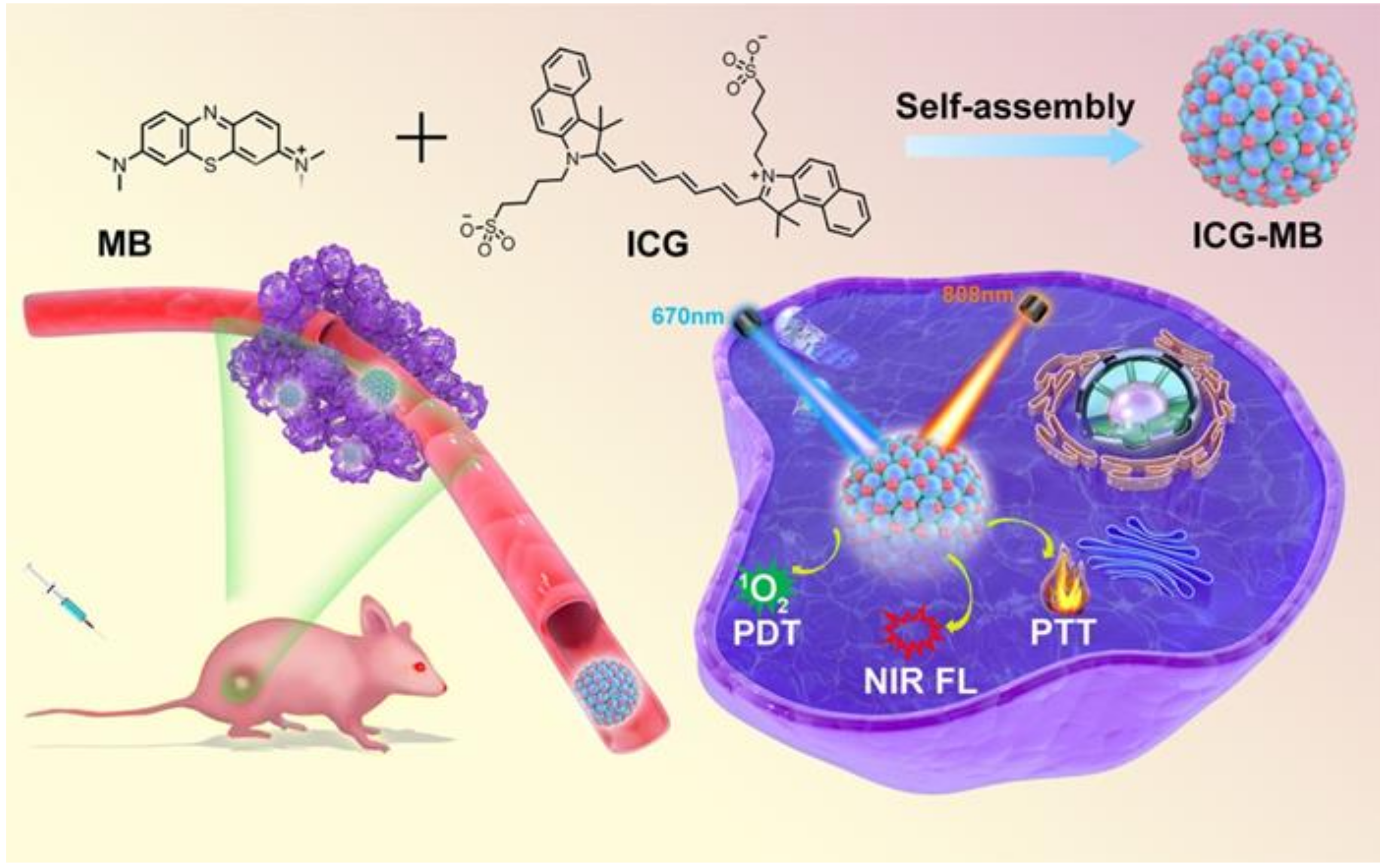 Pharmaceutics 14 01074 sch001 Pharmaceutics 14 01074 sch001