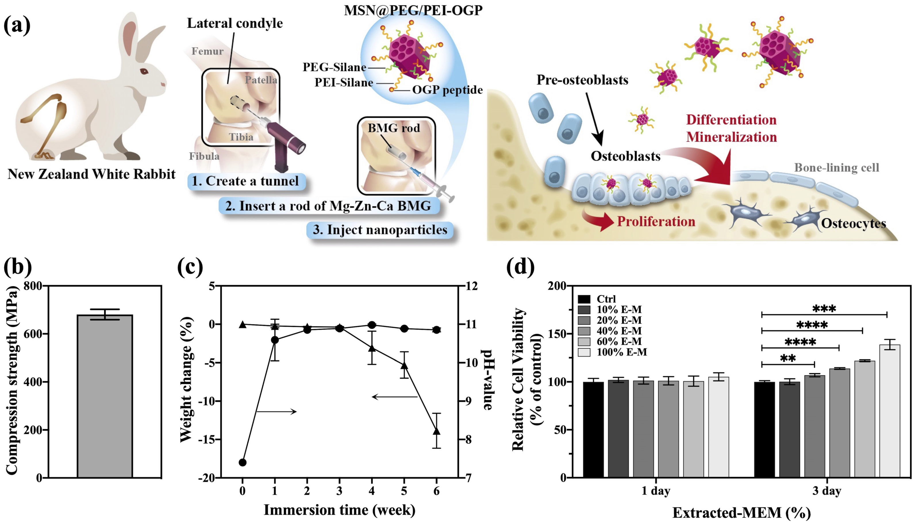 Pharmaceutics 14 01078 g001